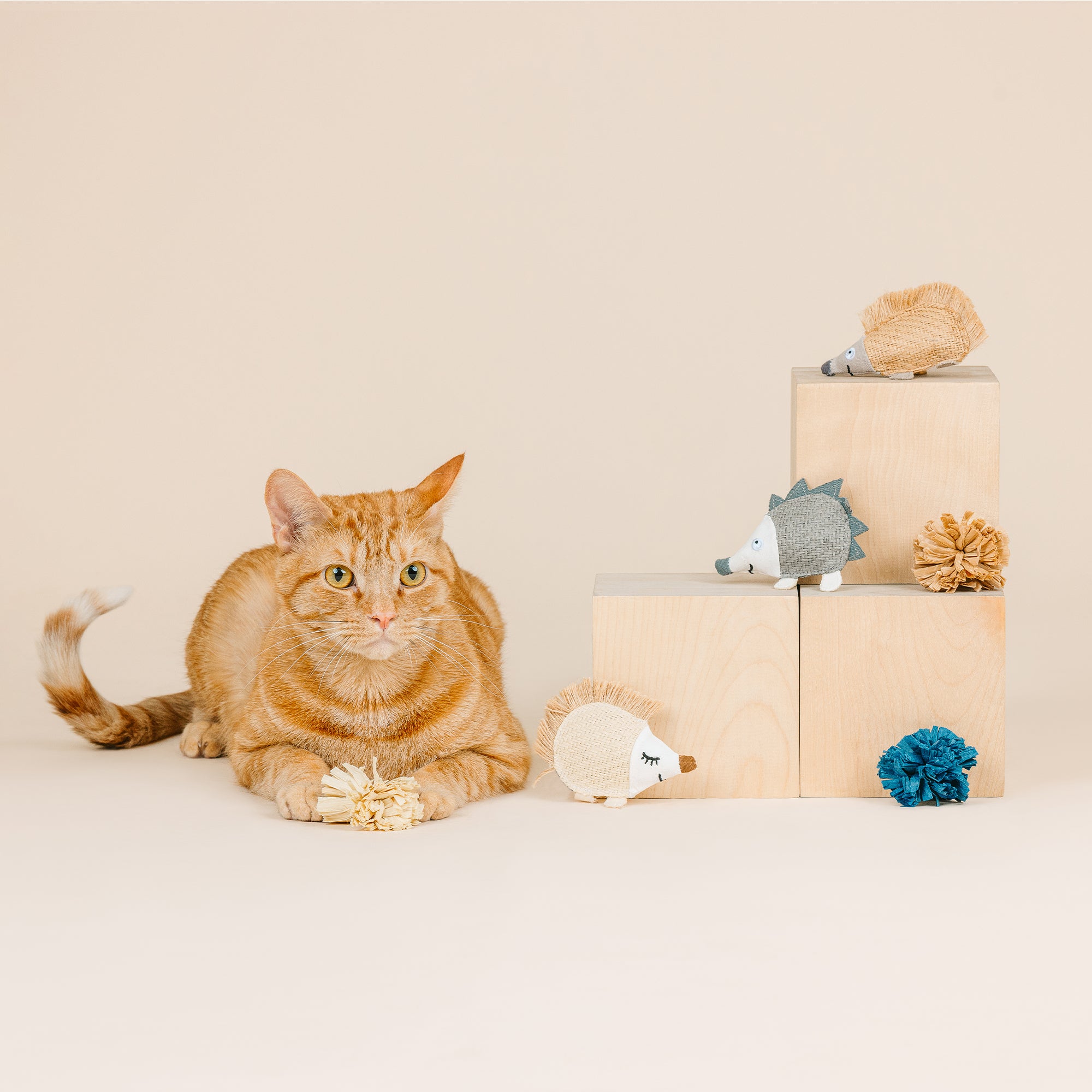 Quill Be Alright 6pc Earth Friendly Cat Toy Set