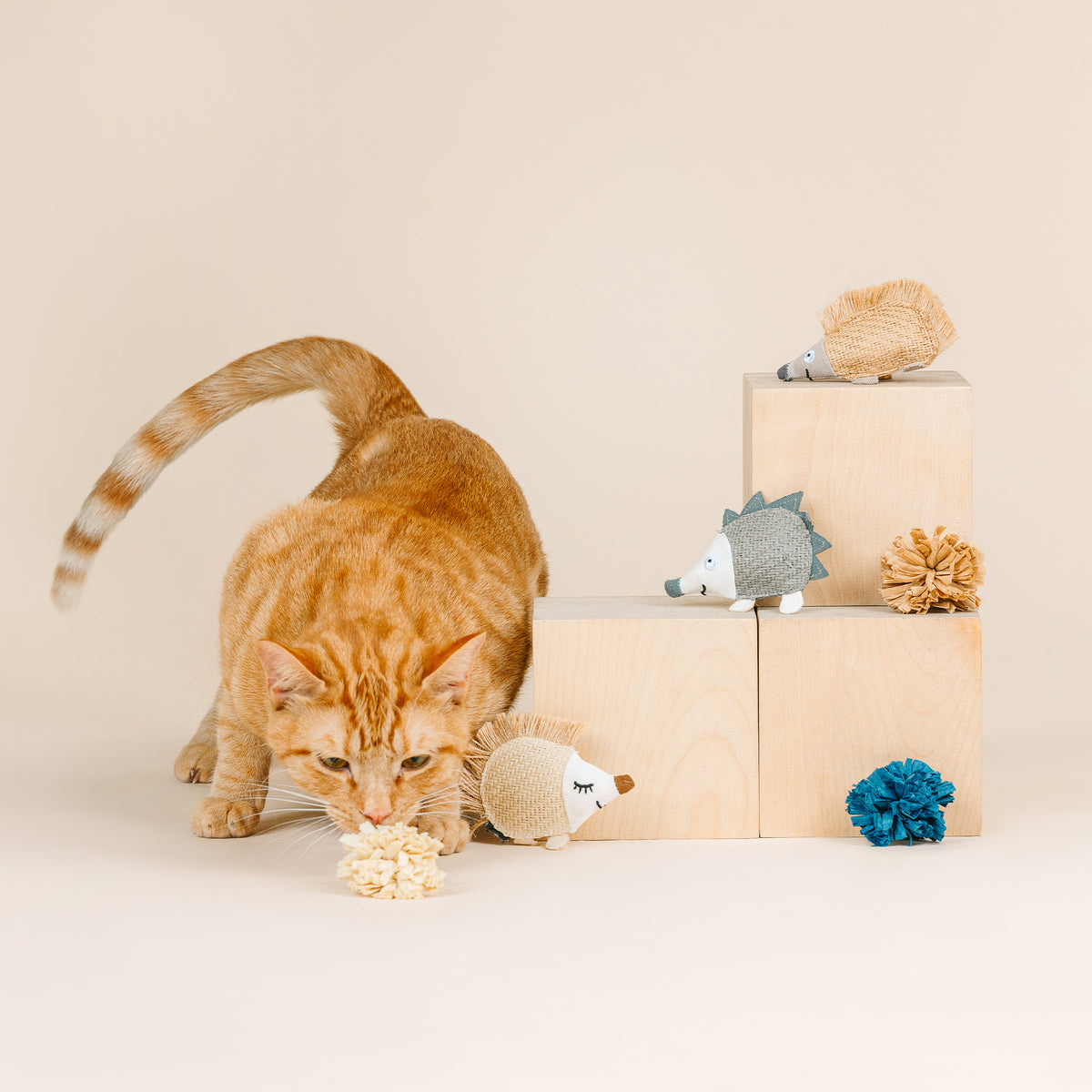 Quill Be Alright 6pc Earth Friendly Cat Toy Set