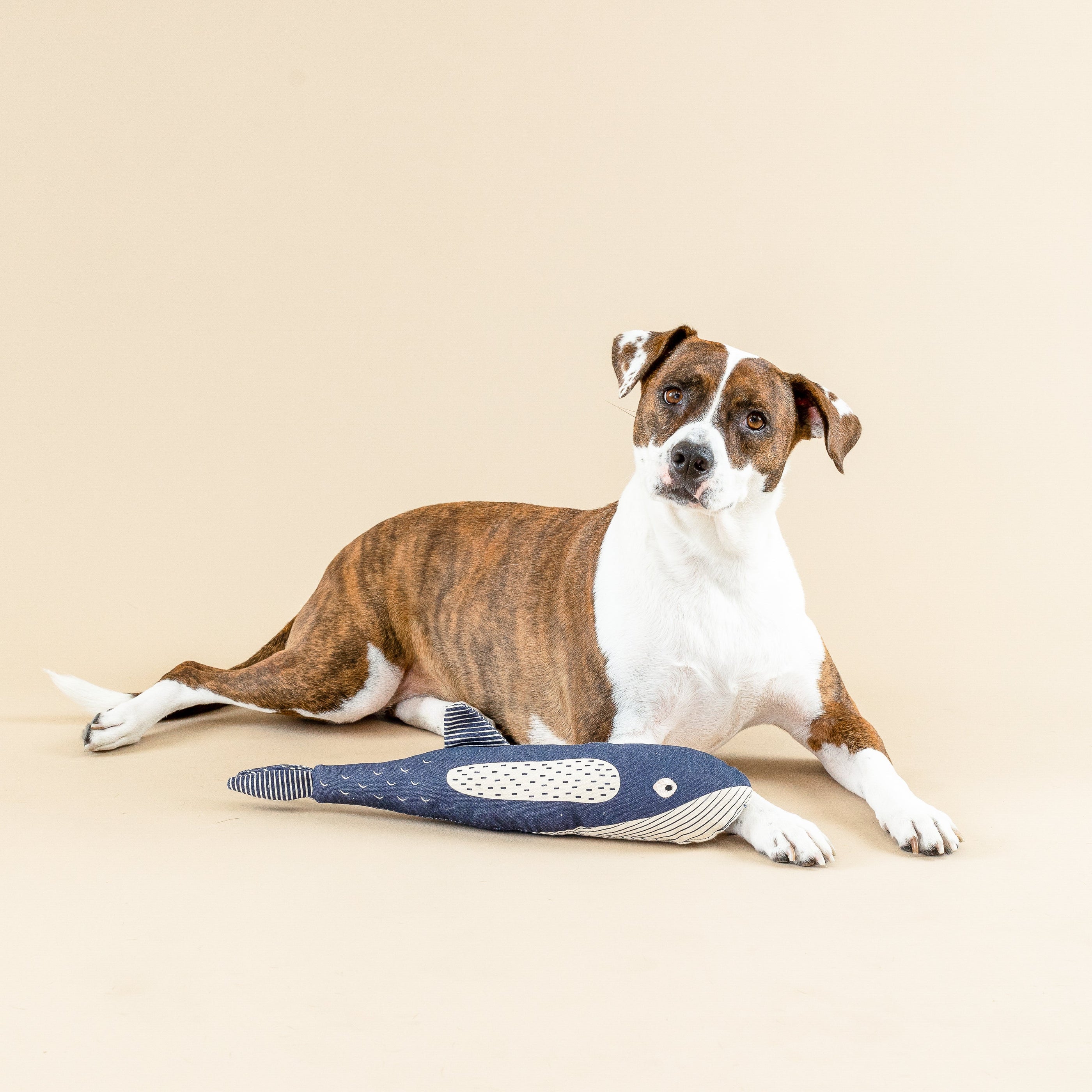 There She Blows Canvas Dog Toy