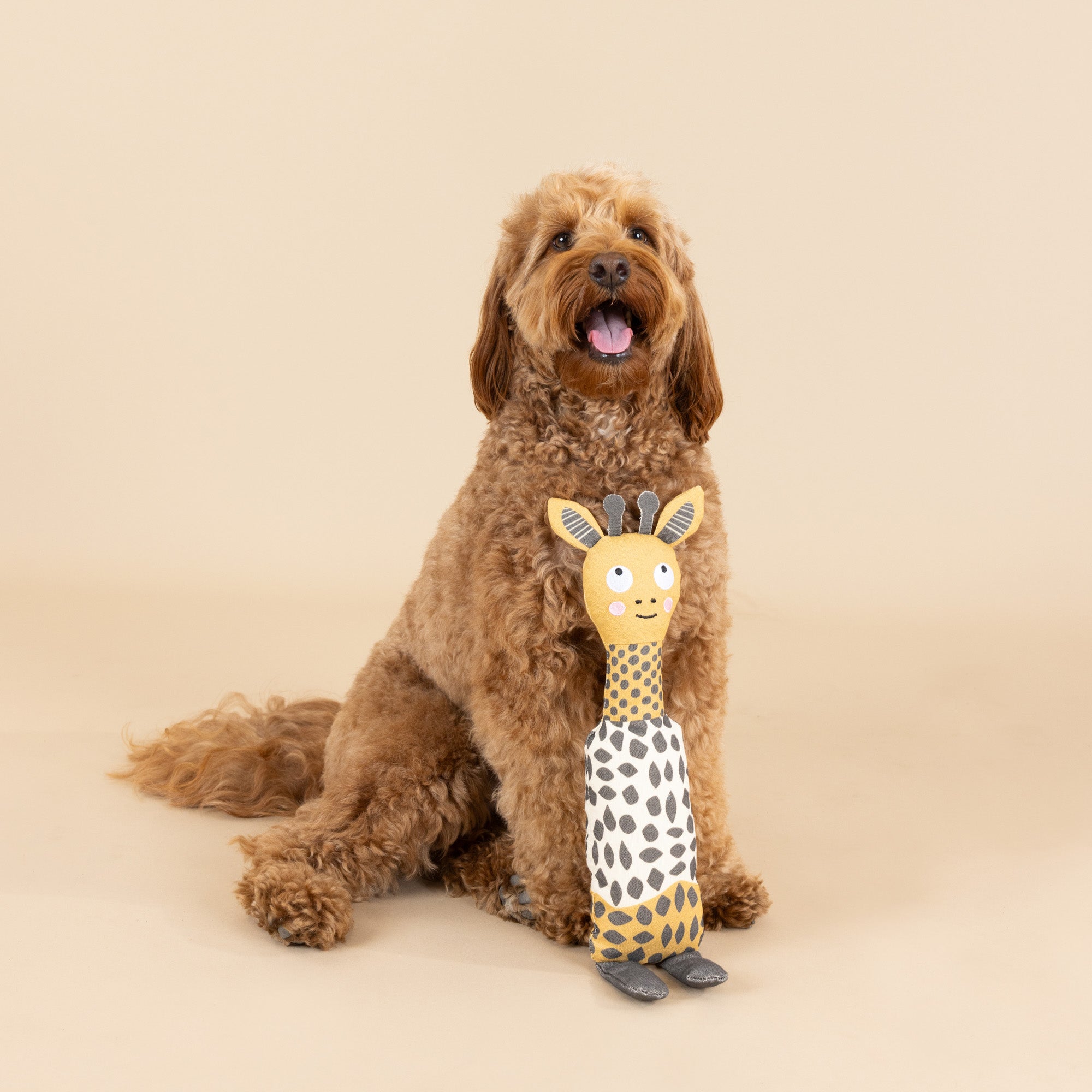 High There! Canvas Dog Toy