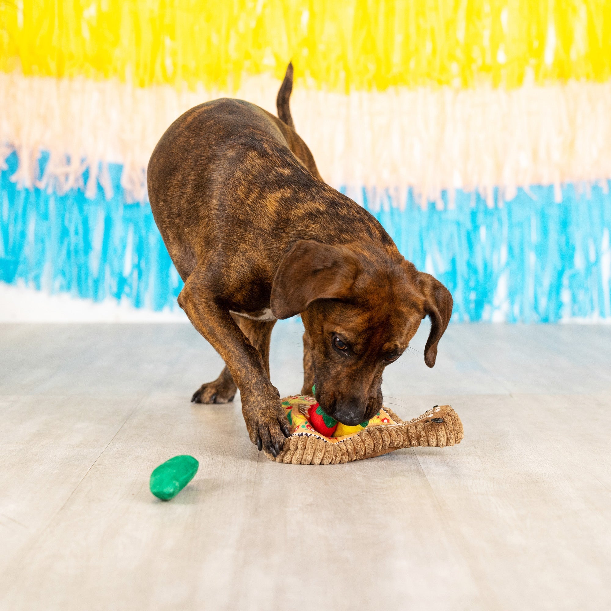 Fiesta Till You Siesta Burrow Plush Dog Toy