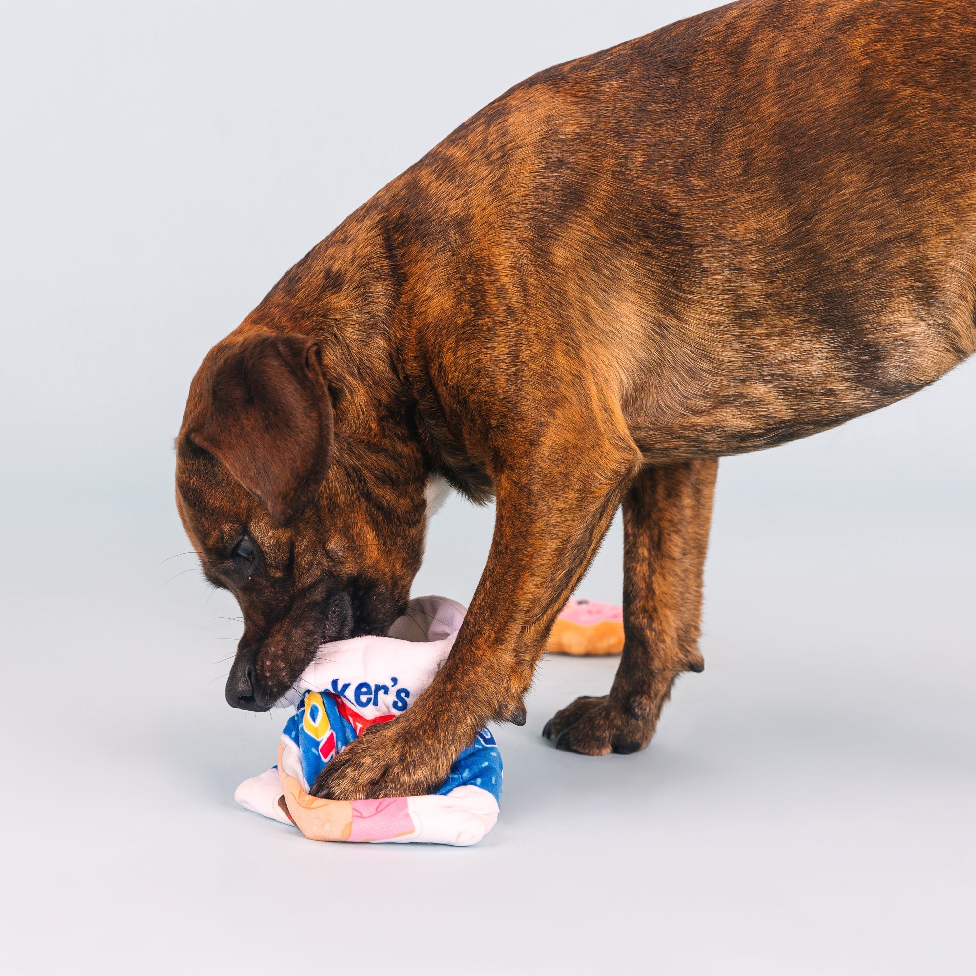 Eat More Hole Foods Burrow Plush Dog Toy