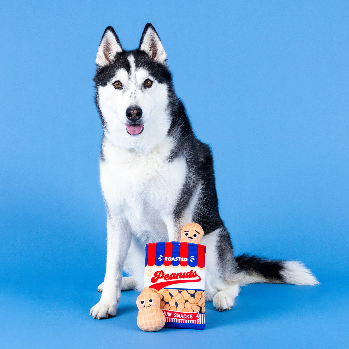 Wagsdale Nut-In But Fun Burrow Plush Dog Toy