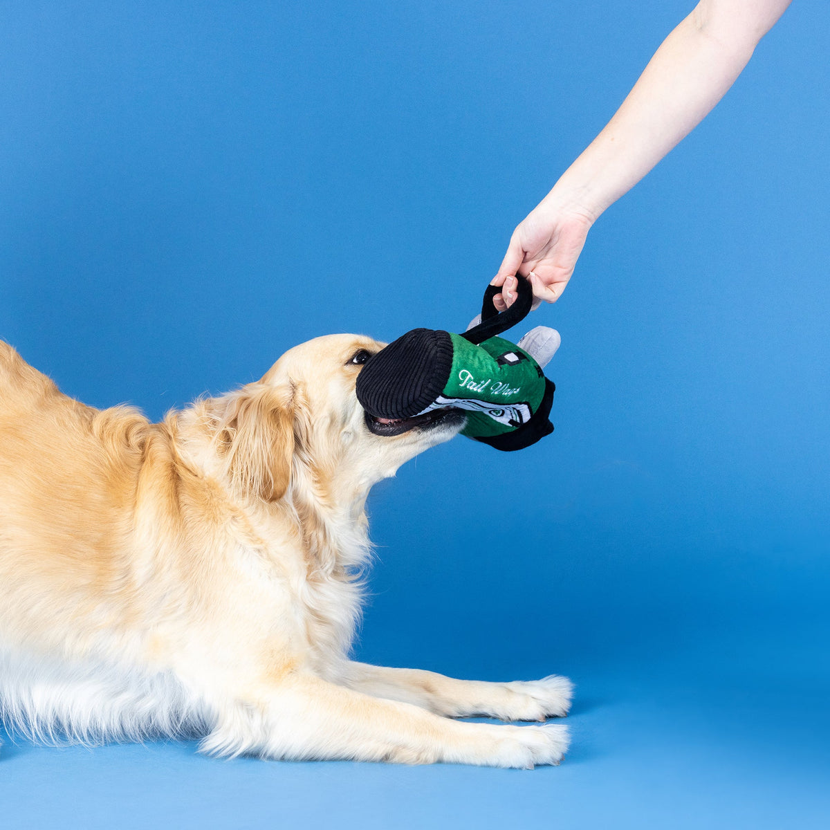Wagsdale Best Round By Par Burrow Plush Dog Toy