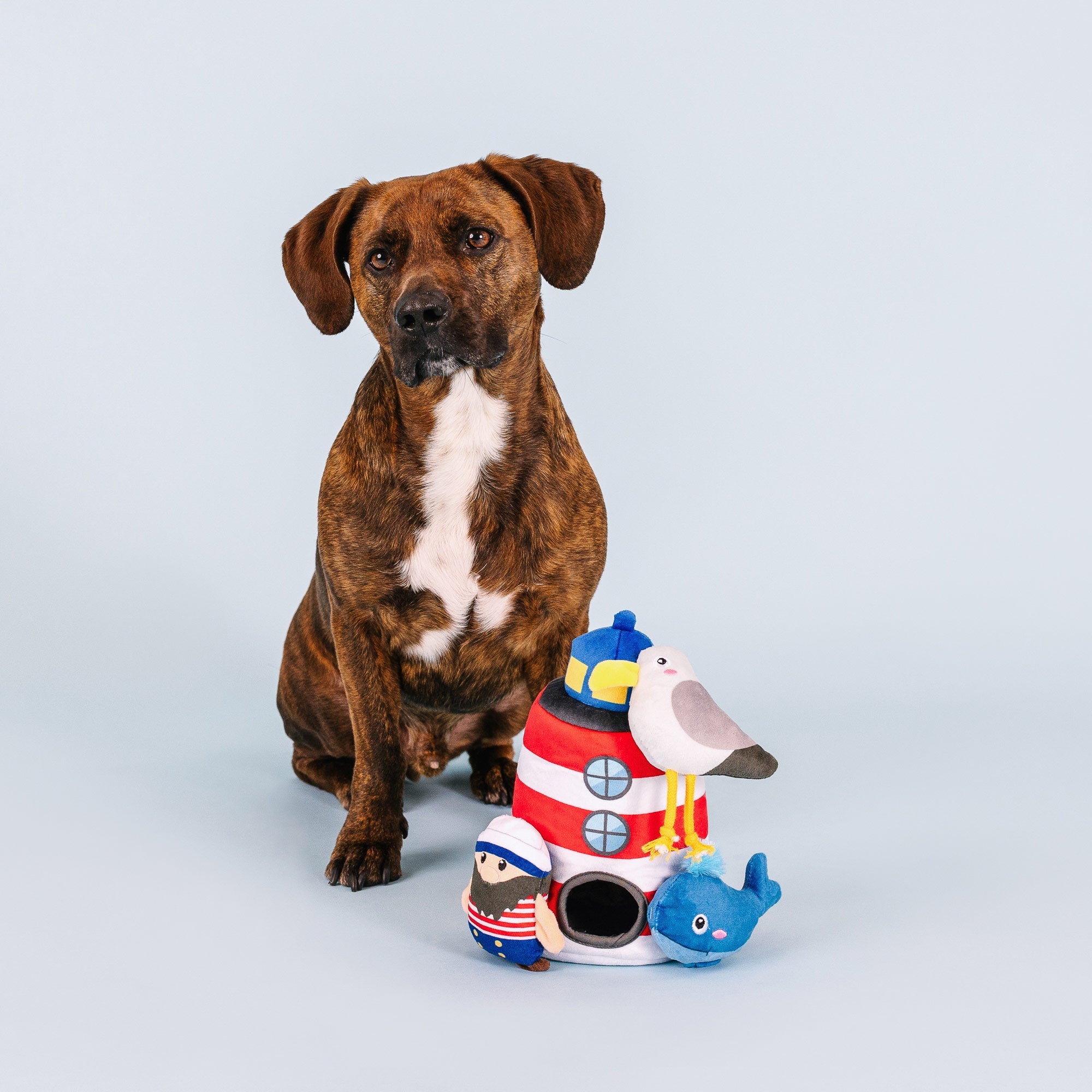 Ships Ahoy Burrow Plush Dog Toy