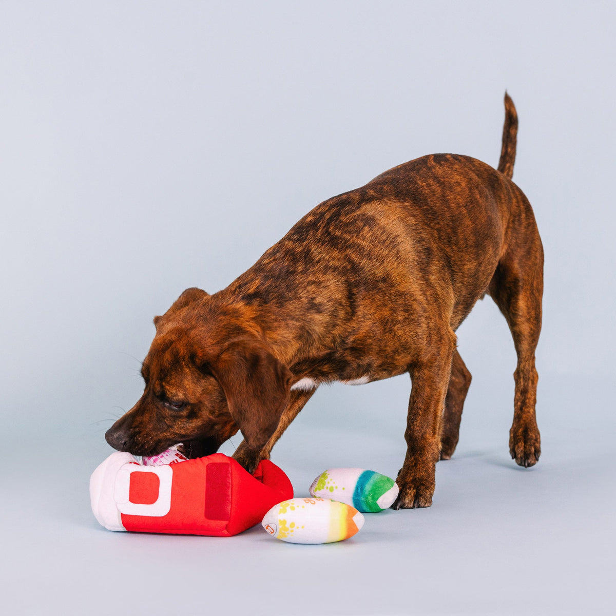 Stay Cool Burrow Plush Dog Toy