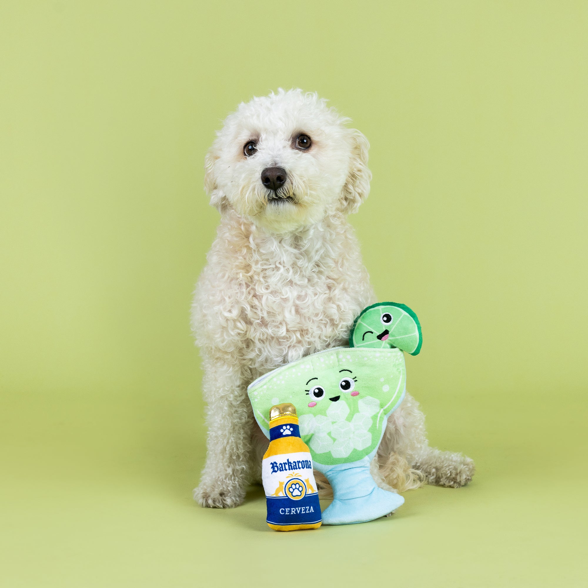 Drop Me A Lime Burrow Plush Dog Toy