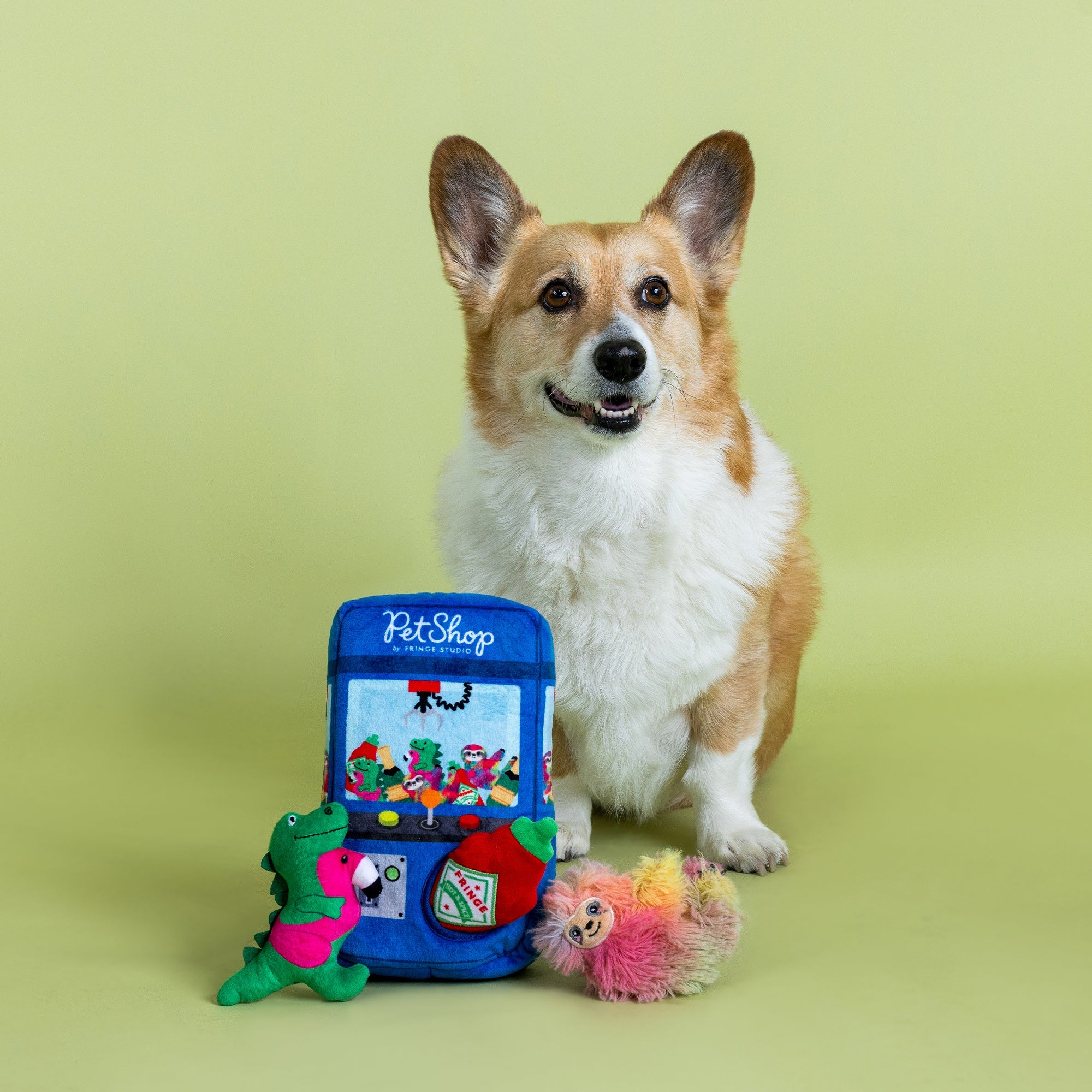 Ready, Set, Claw Burrow Plush Dog Toy