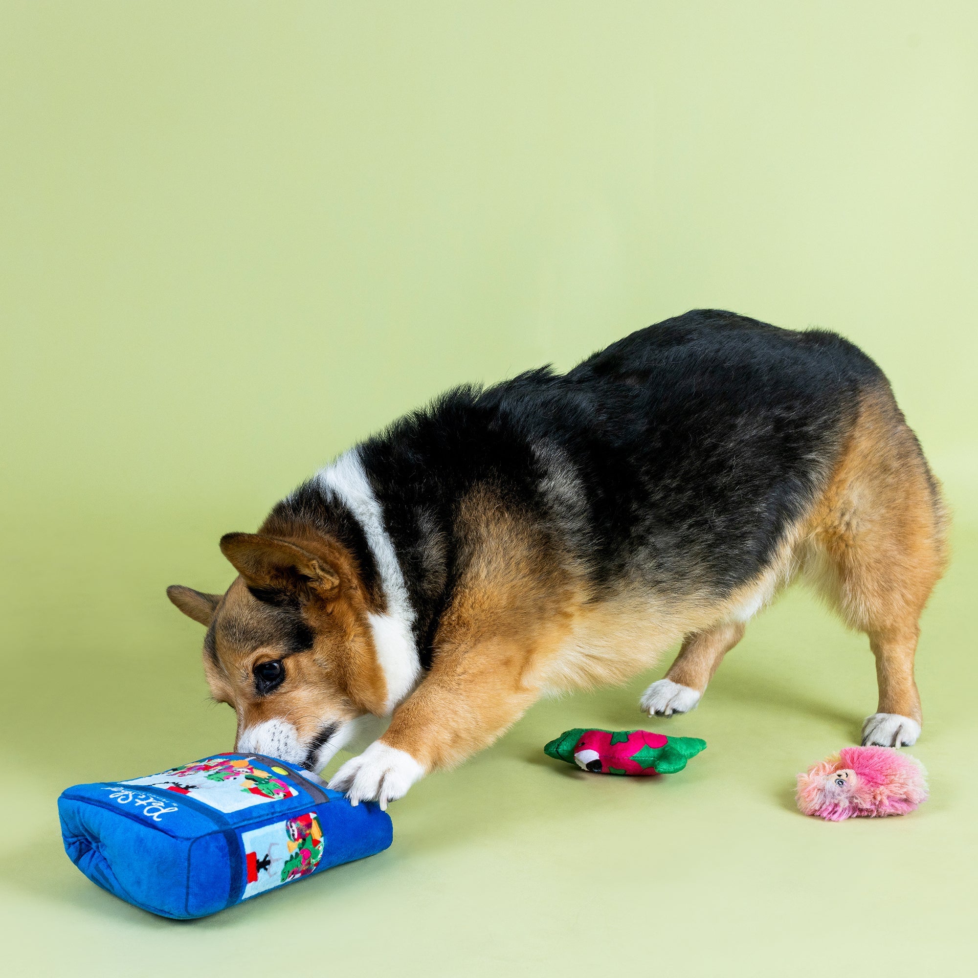 Ready, Set, Claw Burrow Plush Dog Toy