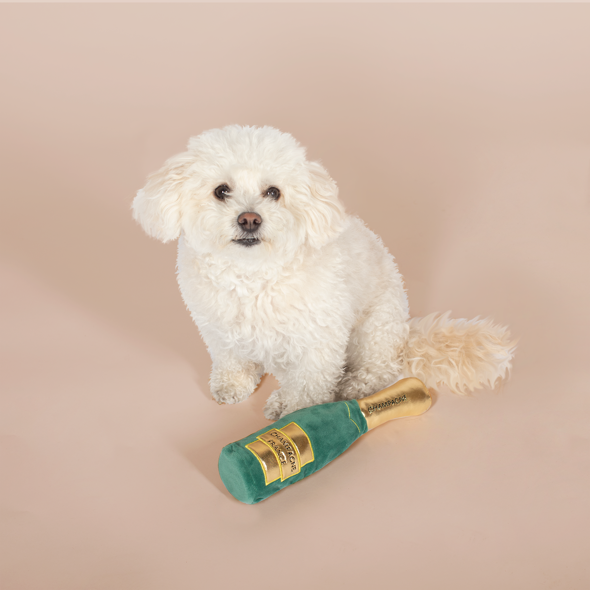 Feelin' Bubbly Plush Dog Toy