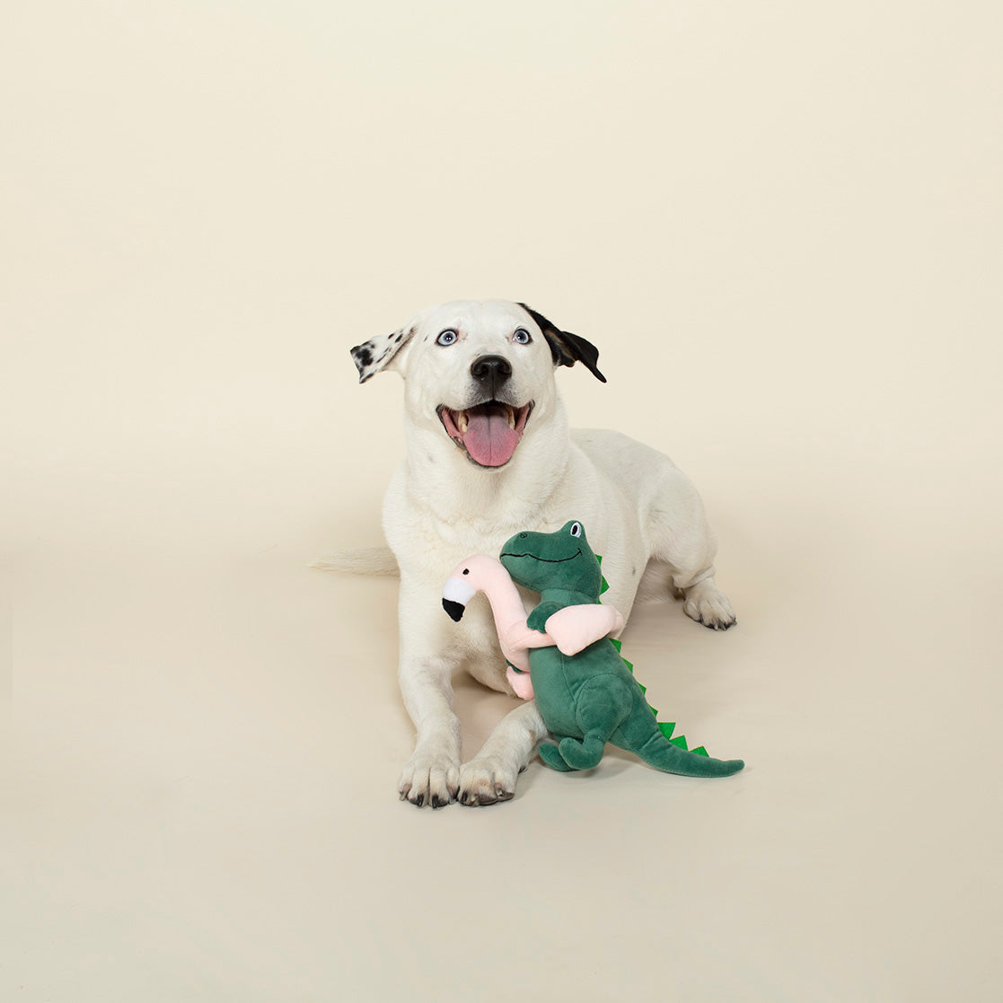 Pool Time Rex Plush Dog Toy