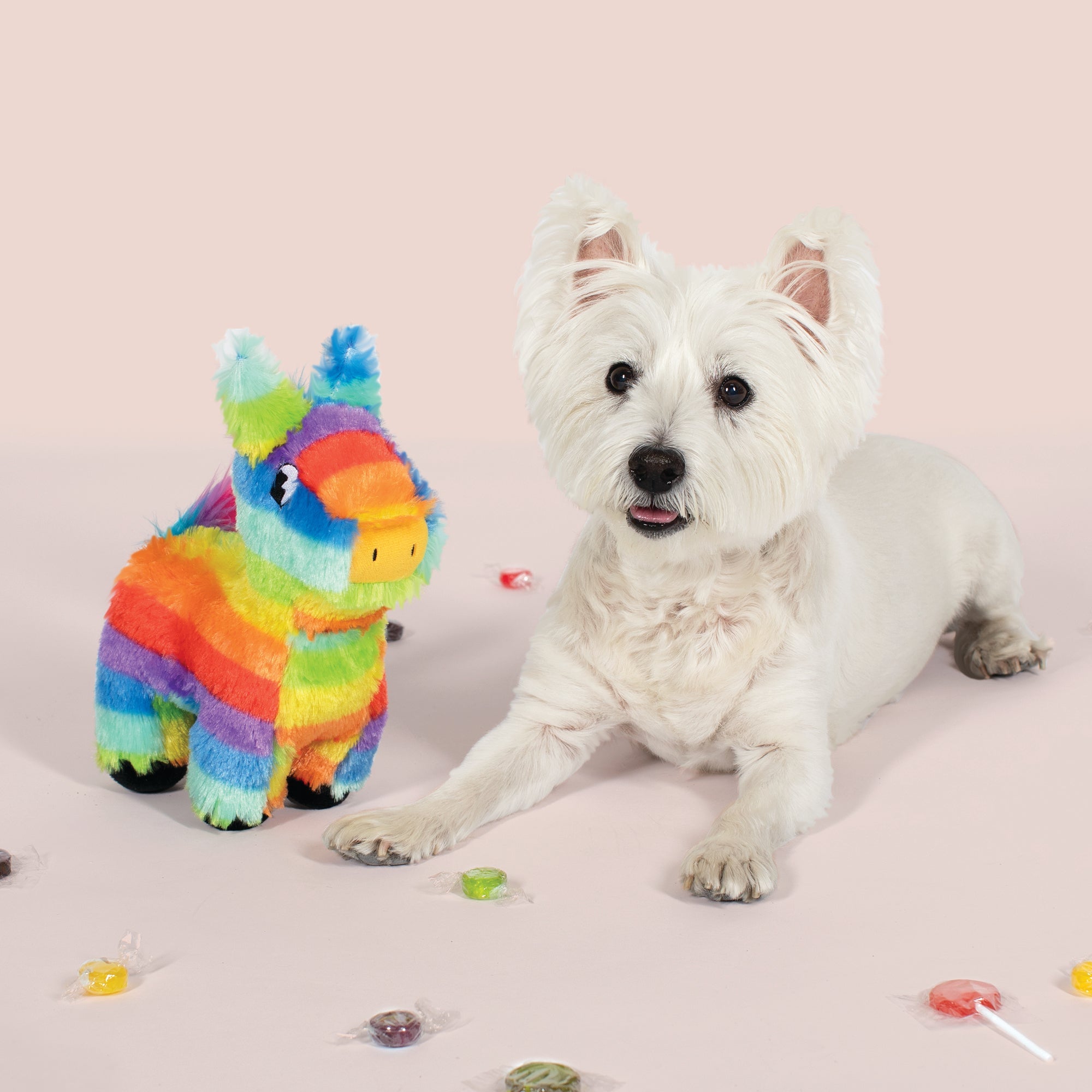 Full O'Fun! Plush Dog Toy