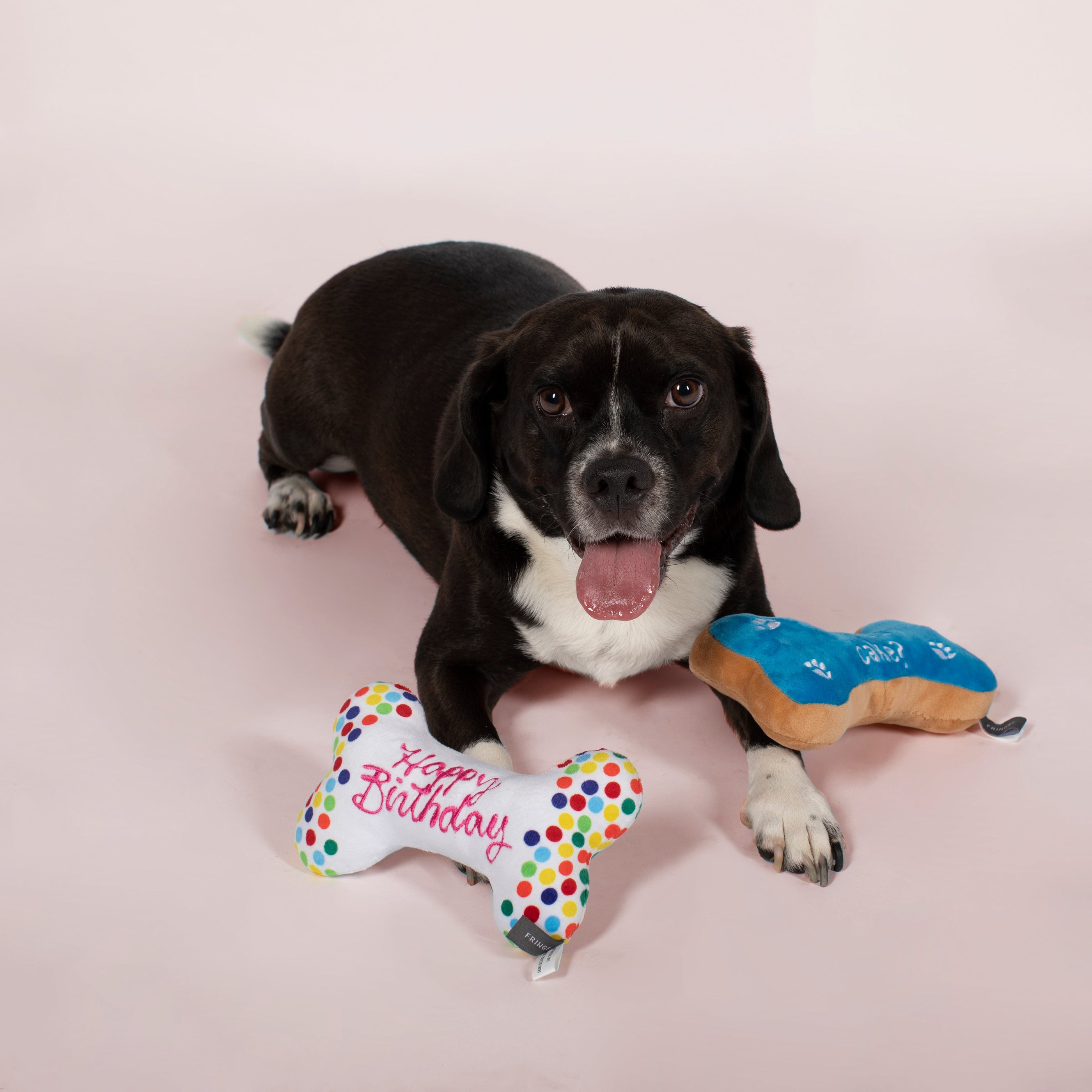 Bone A-Pet-Treat 2pc Plush Dog Toy Set