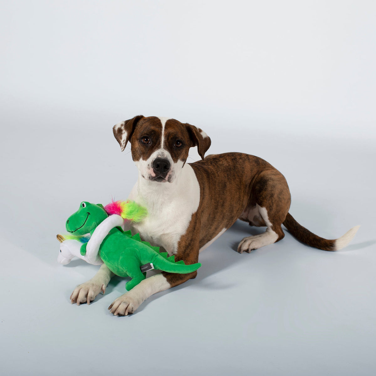 Summa Time Rex Plush Dog Toy