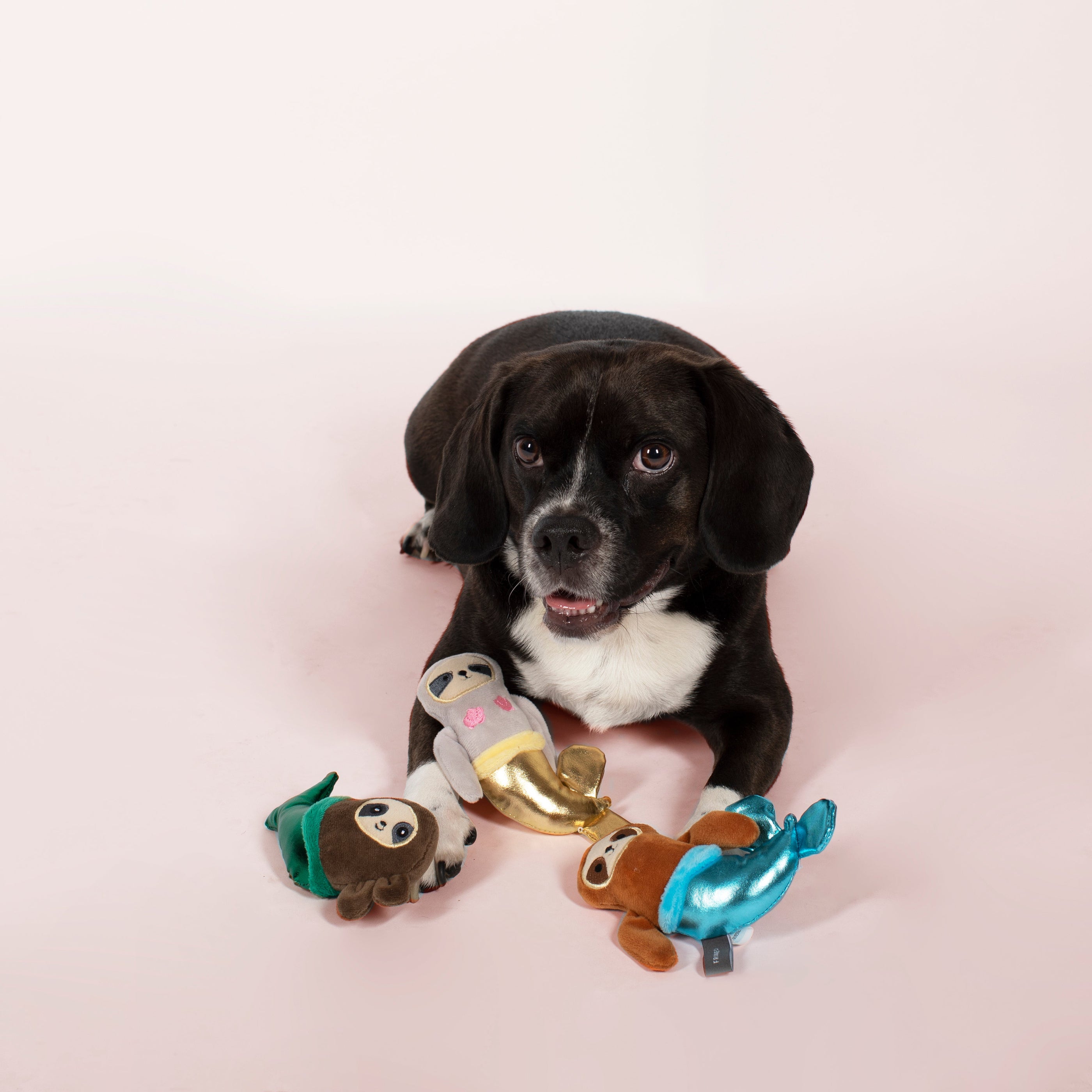 Mermazing Mersloth 3pc Mini Plush Dog Toy Set