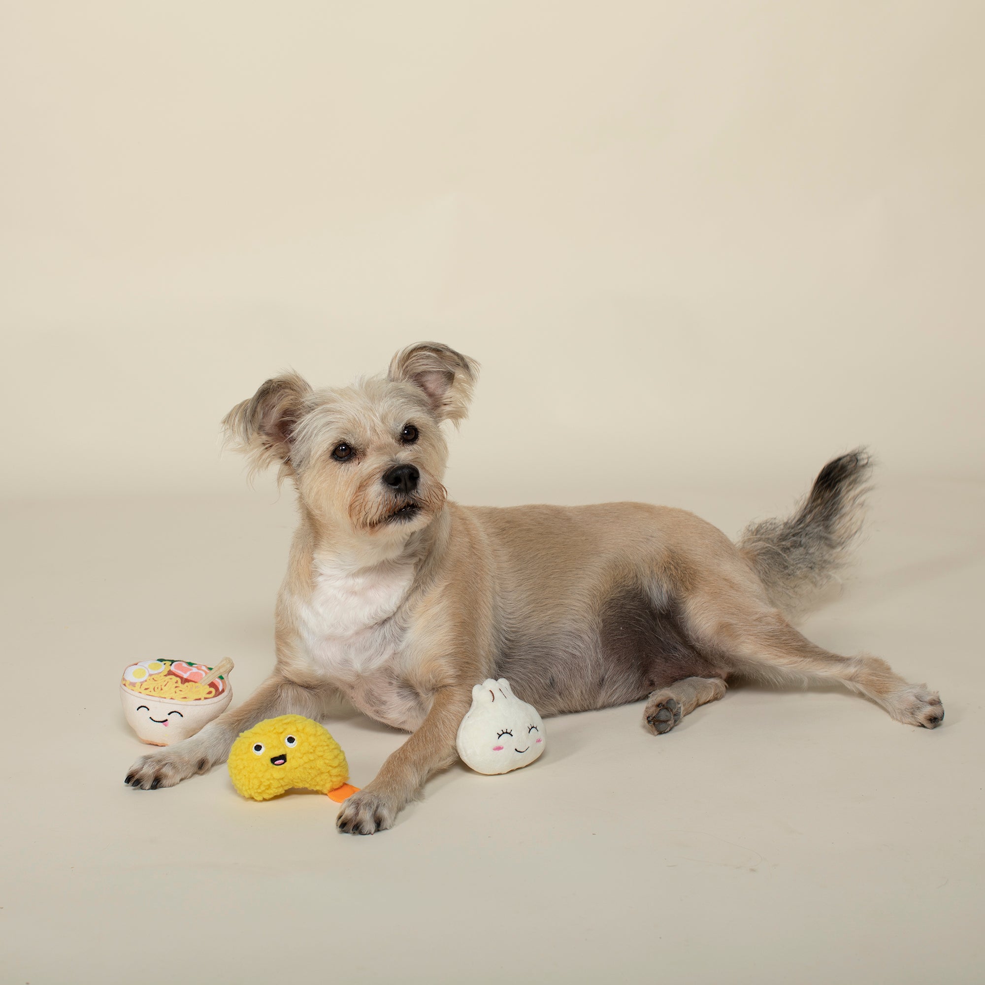 Soy Into You 3pc Mini Plush Dog Toy Set