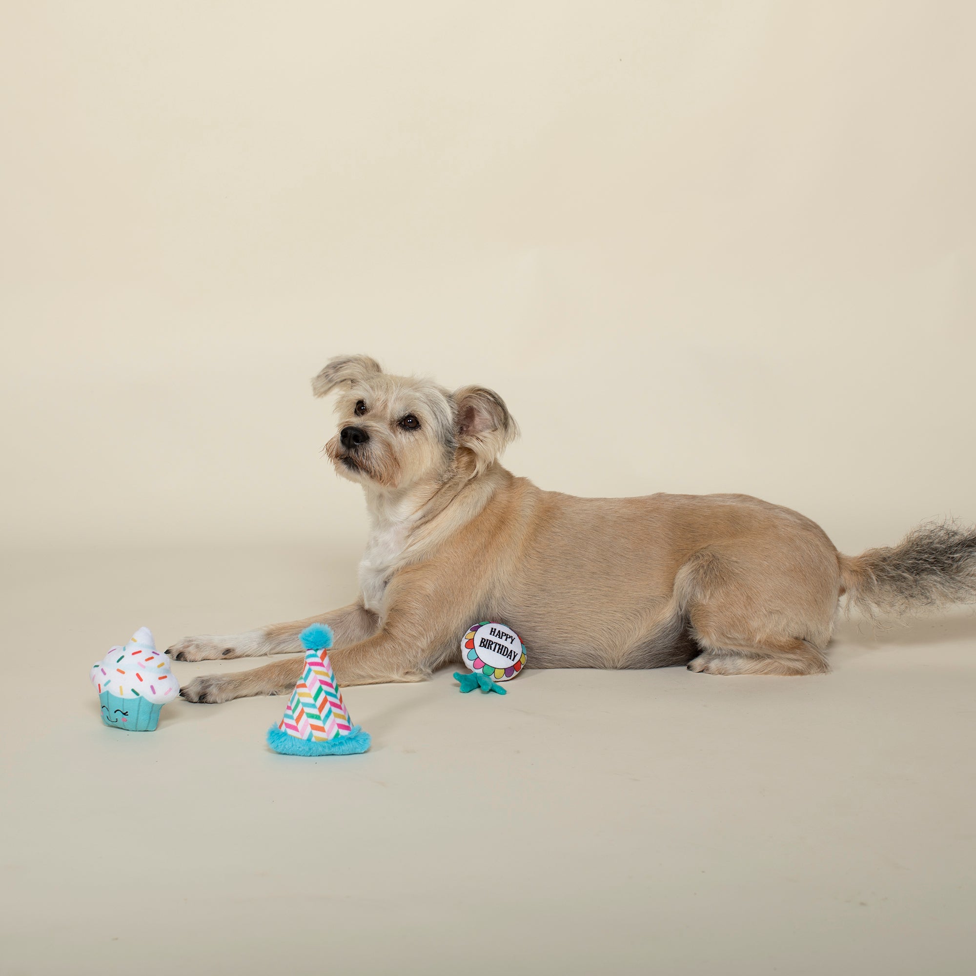 Bark-Day! 3pc Mini Plush Dog Toy Set