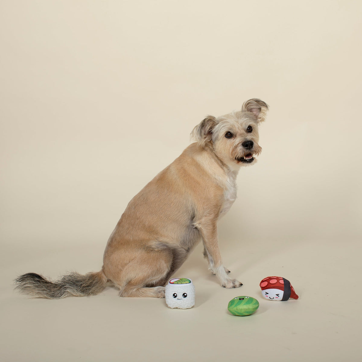 Sushiholic 3pc Mini Plush Dog Toy Set