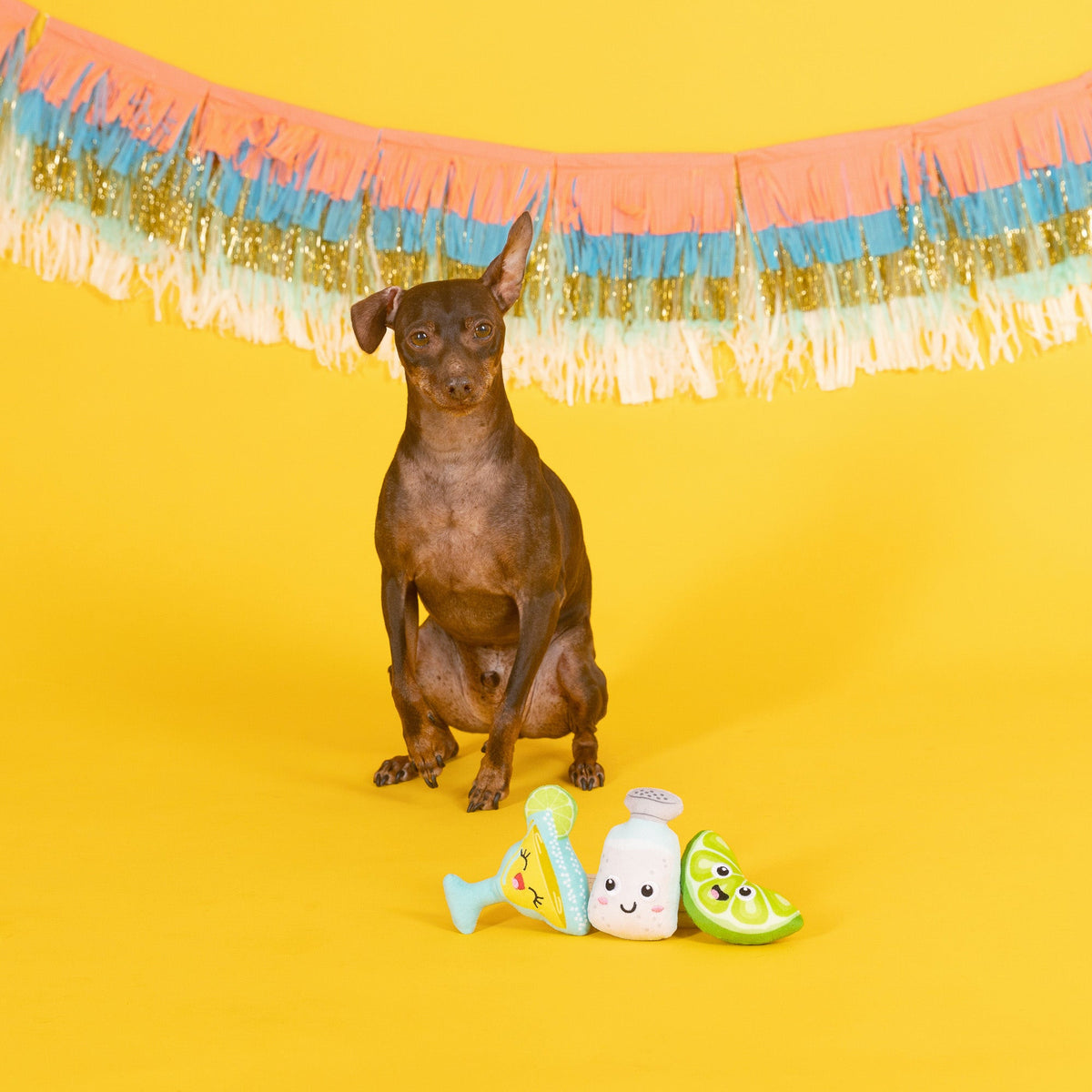 On Margarita Time 3pc Mini Plush Dog Toy Set