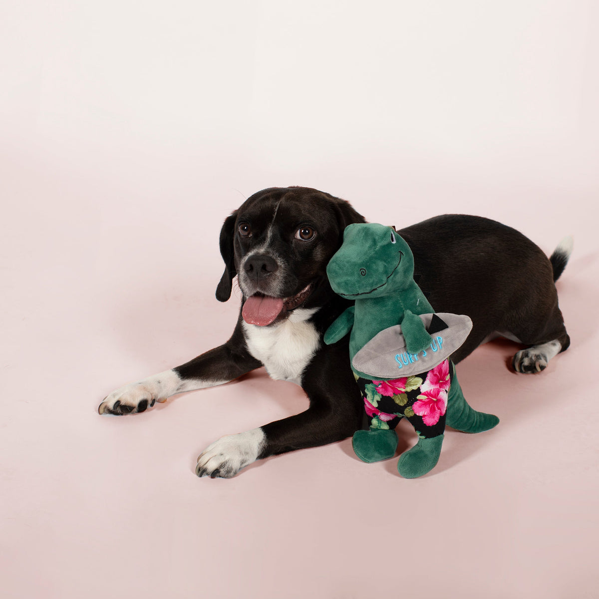 Surf's Up, Dude! Plush Dog Toy
