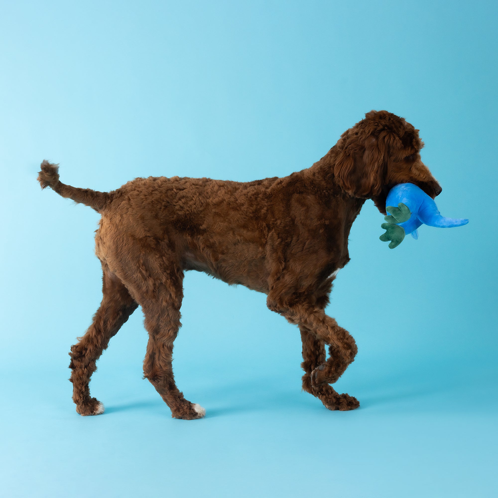 Feelin' Jawsome! Plush Dog Toy