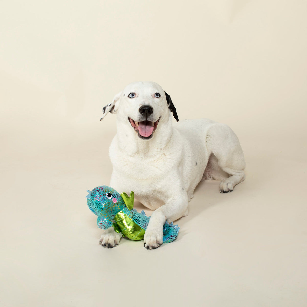 Shelly the Seahorse Plush Dog Toy