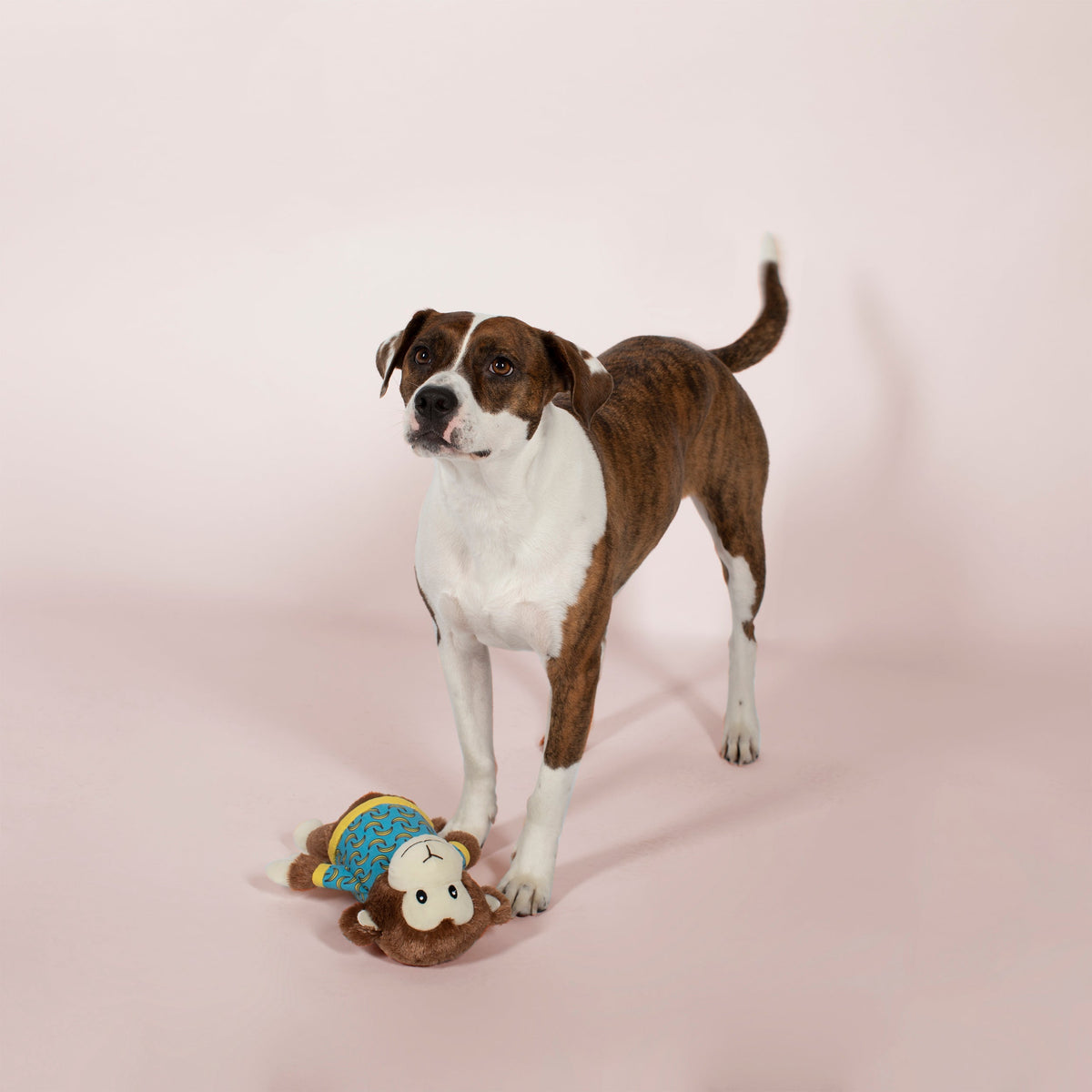 Coco Bananas Plush Dog Toy