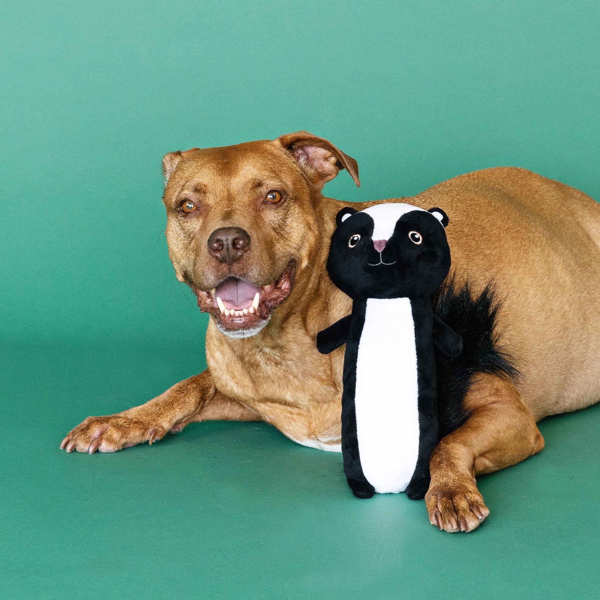 Wagsdale Stinkin' Cute Dog Toy