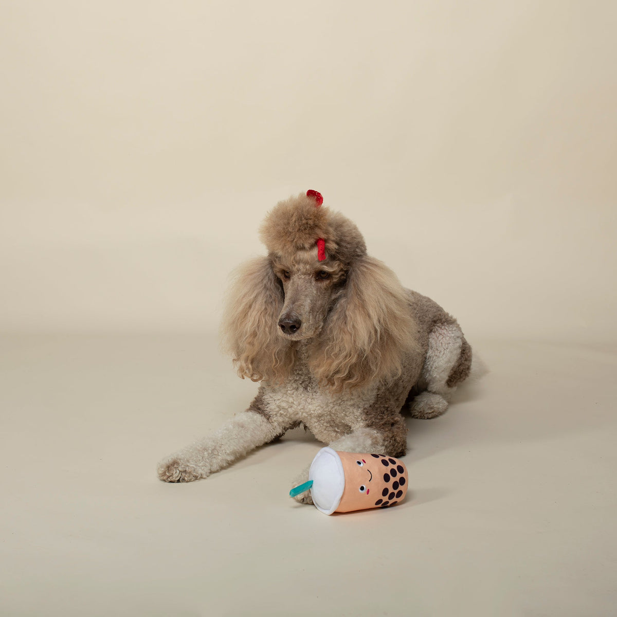 It's Boba Time Plush Dog Toy
