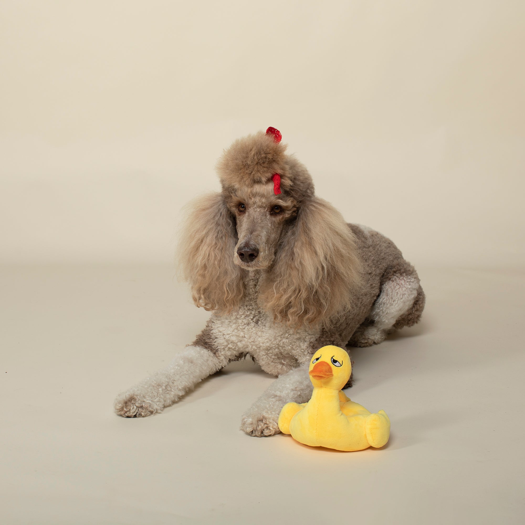 Just Floating By Plush Dog Toy