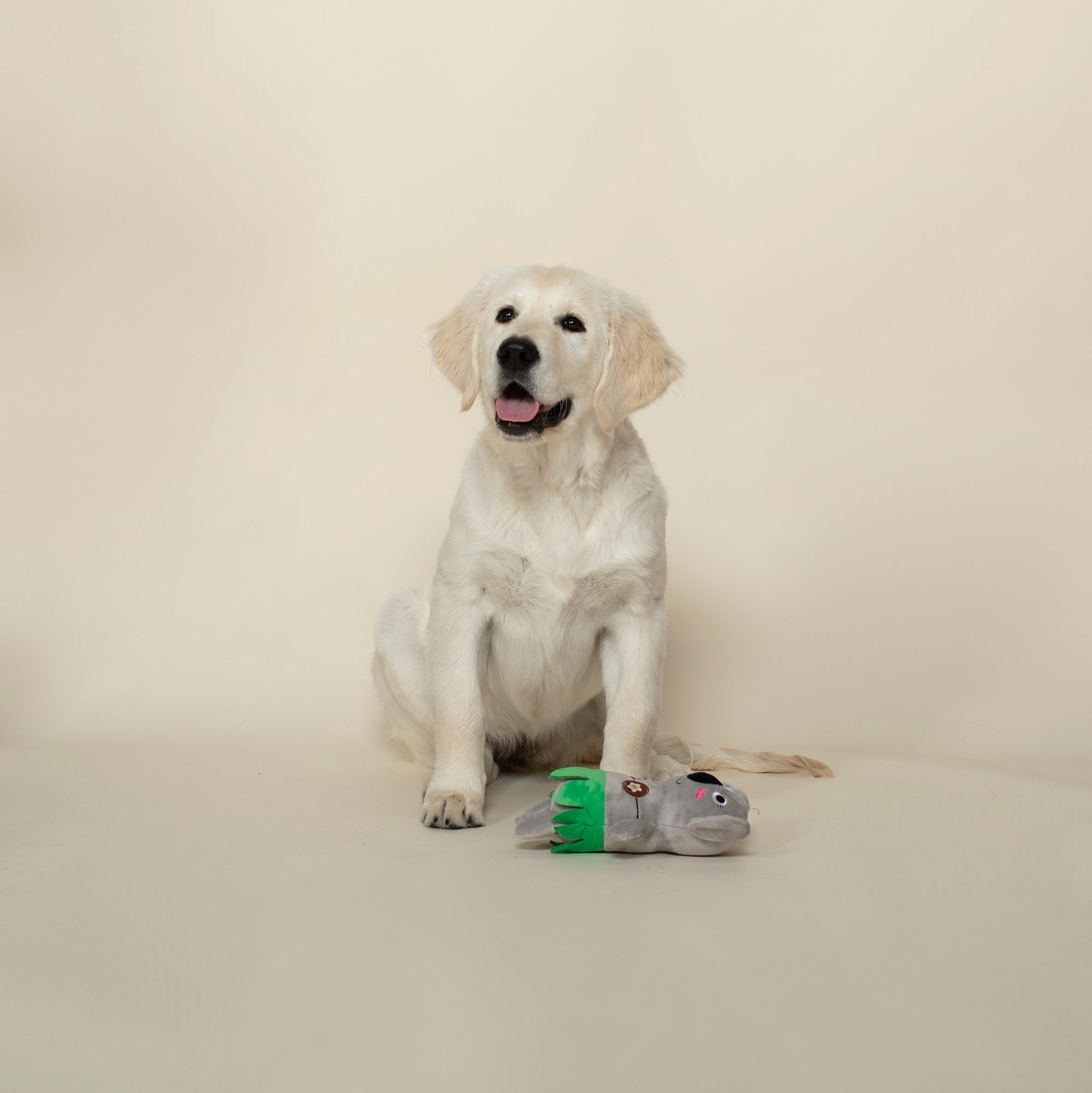 Shake Your Palm Palms Plush Dog Toy