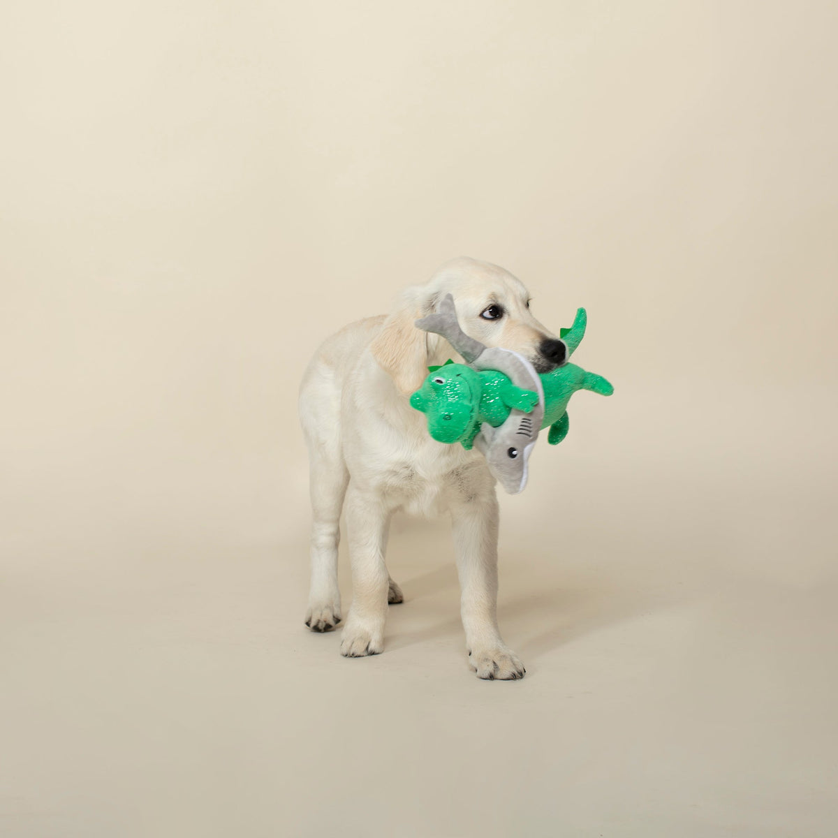 Shark Week Rex Plush Dog Toy