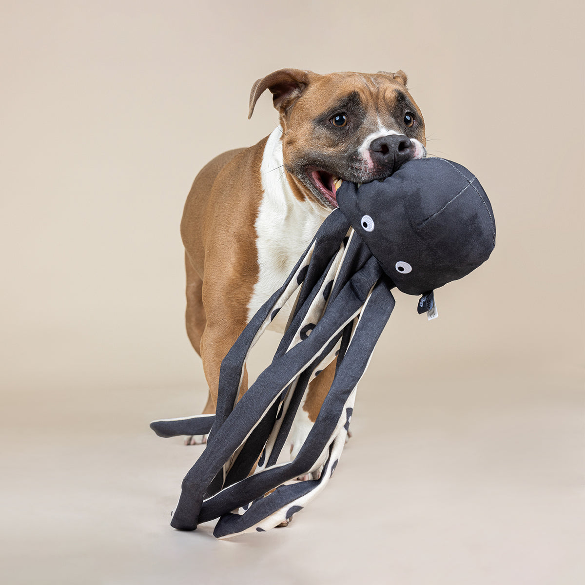 Inking About You Canvas Dog Toy