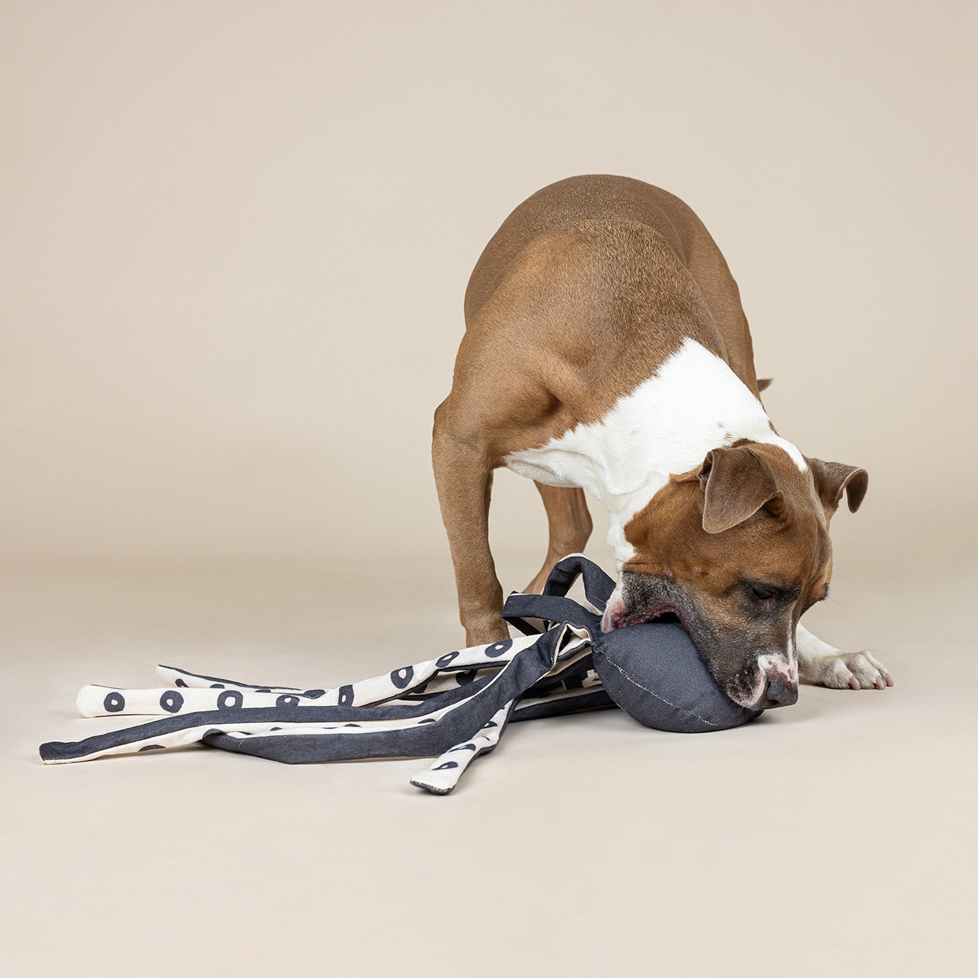 Inking About You Canvas Dog Toy