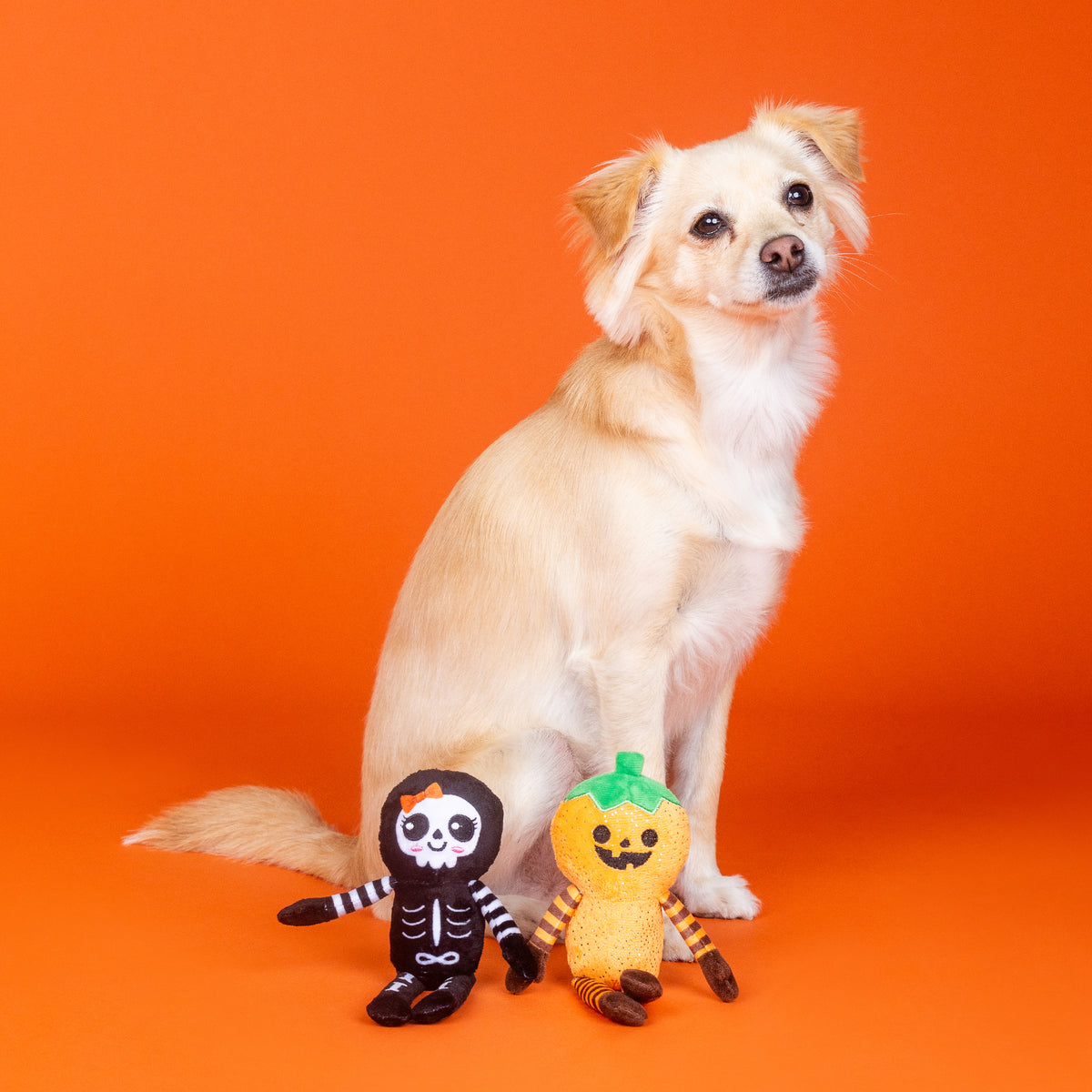 Oh My Gourd! 2pc Plush Dog Toy Set