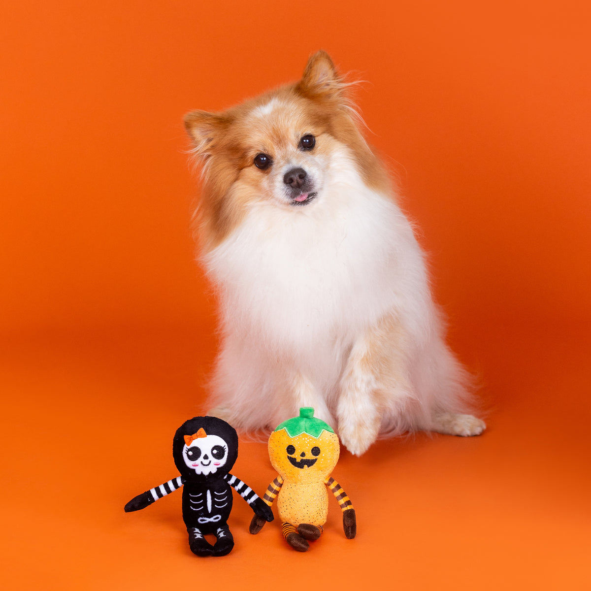 Oh My Gourd! 2pc Plush Dog Toy Set