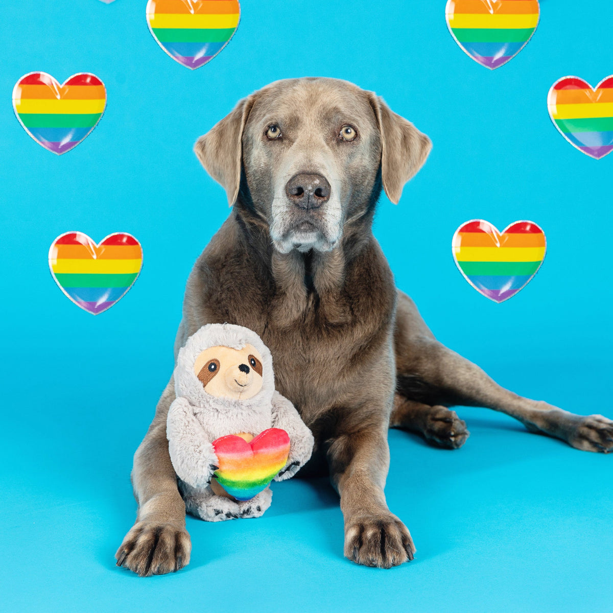 Rainbow Sloth Plush Dog Toy