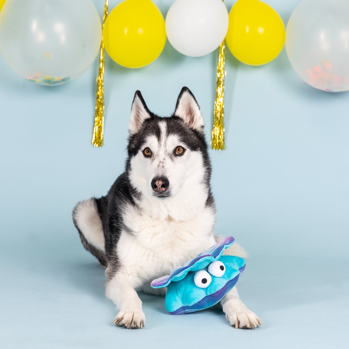 A Bit Clammy Plush Dog Toy