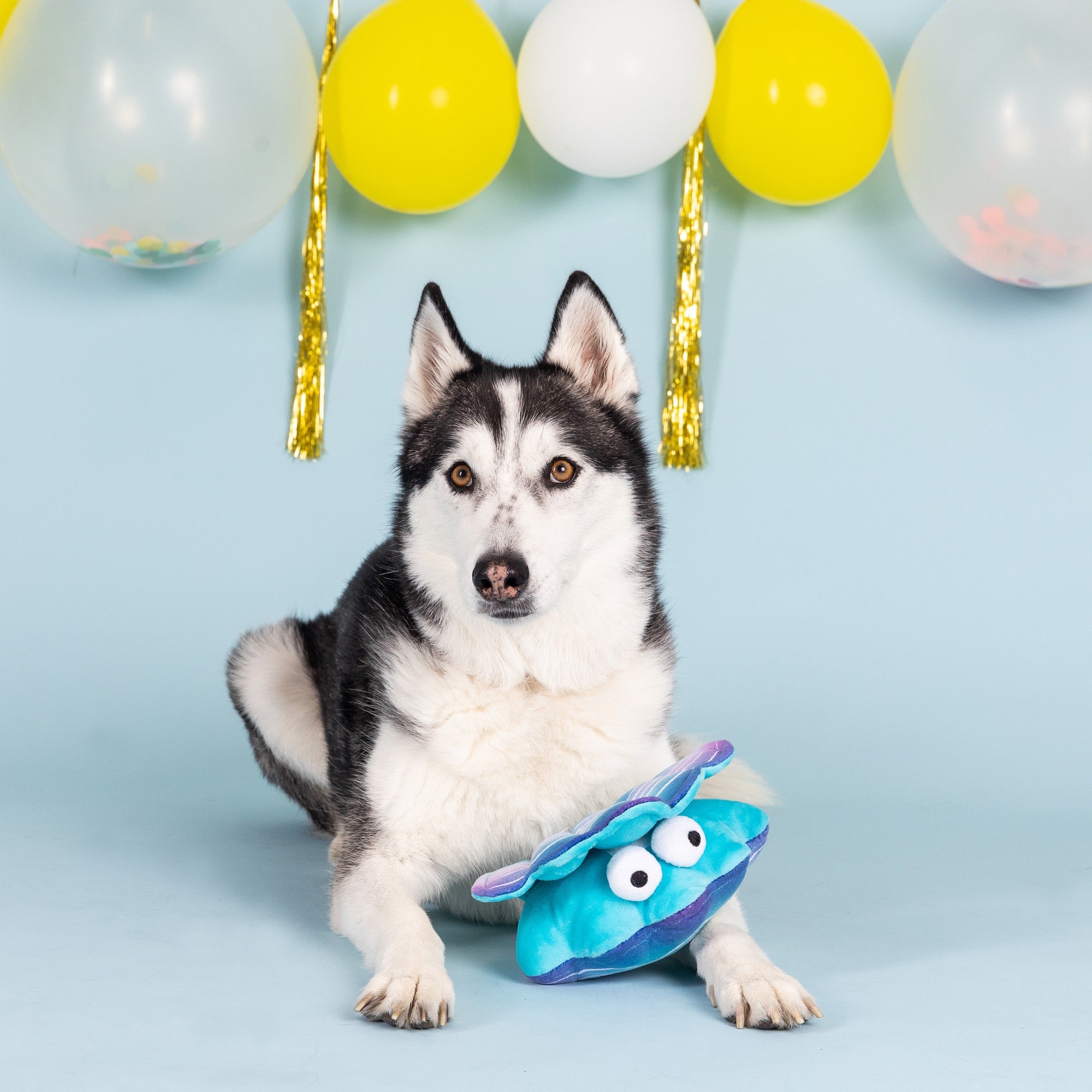 A Bit Clammy Plush Dog Toy