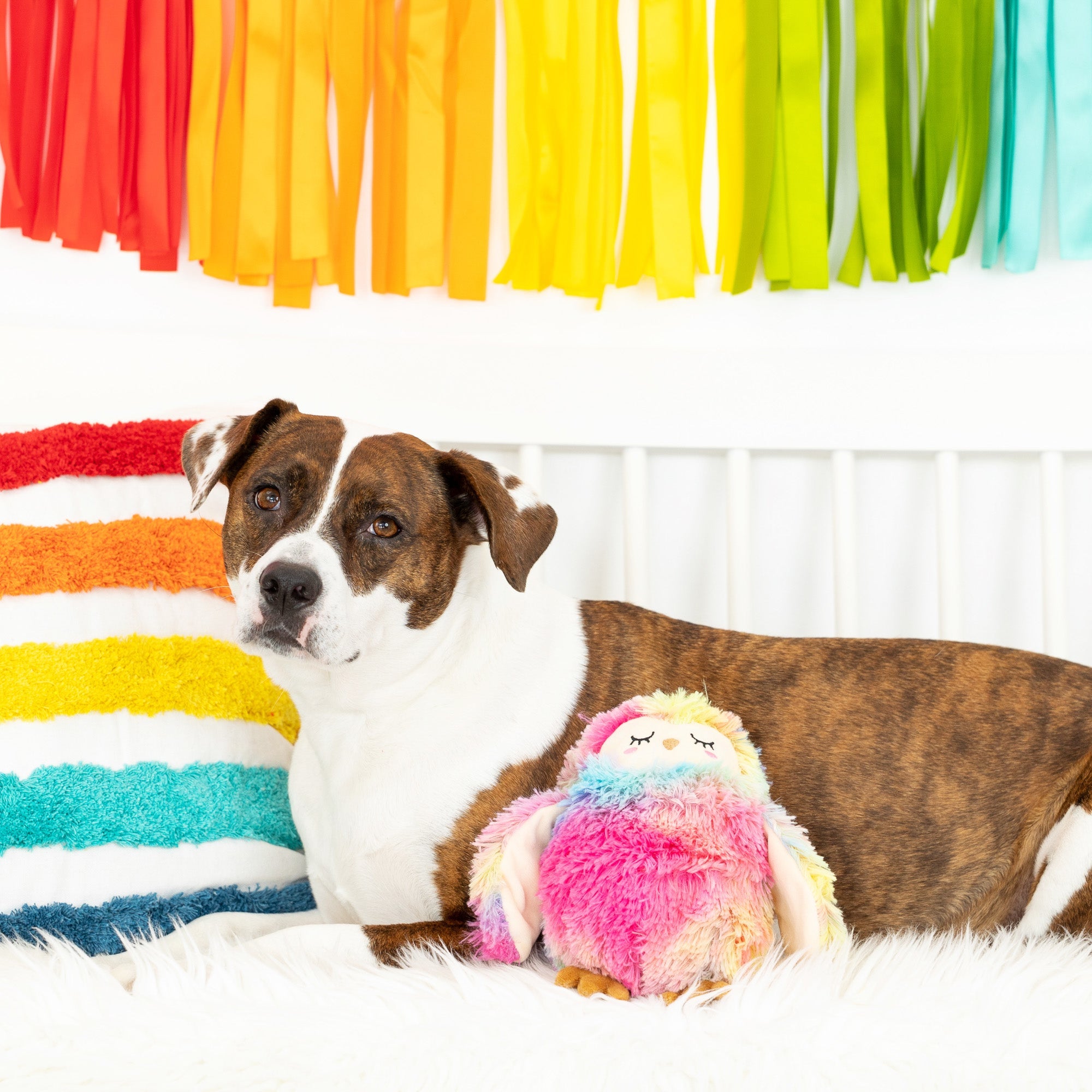 Be Hoo You Are Plush Dog Toy