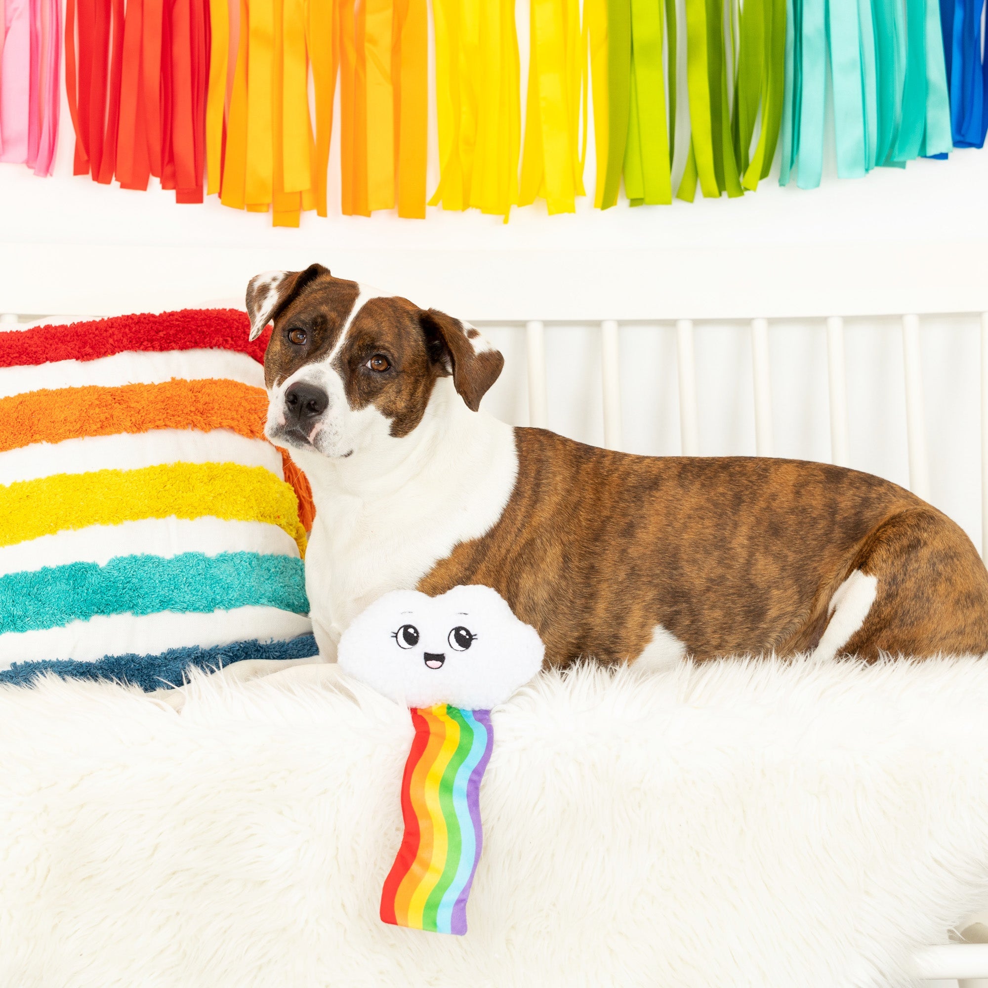 Head In The Clouds Plush Dog Toy