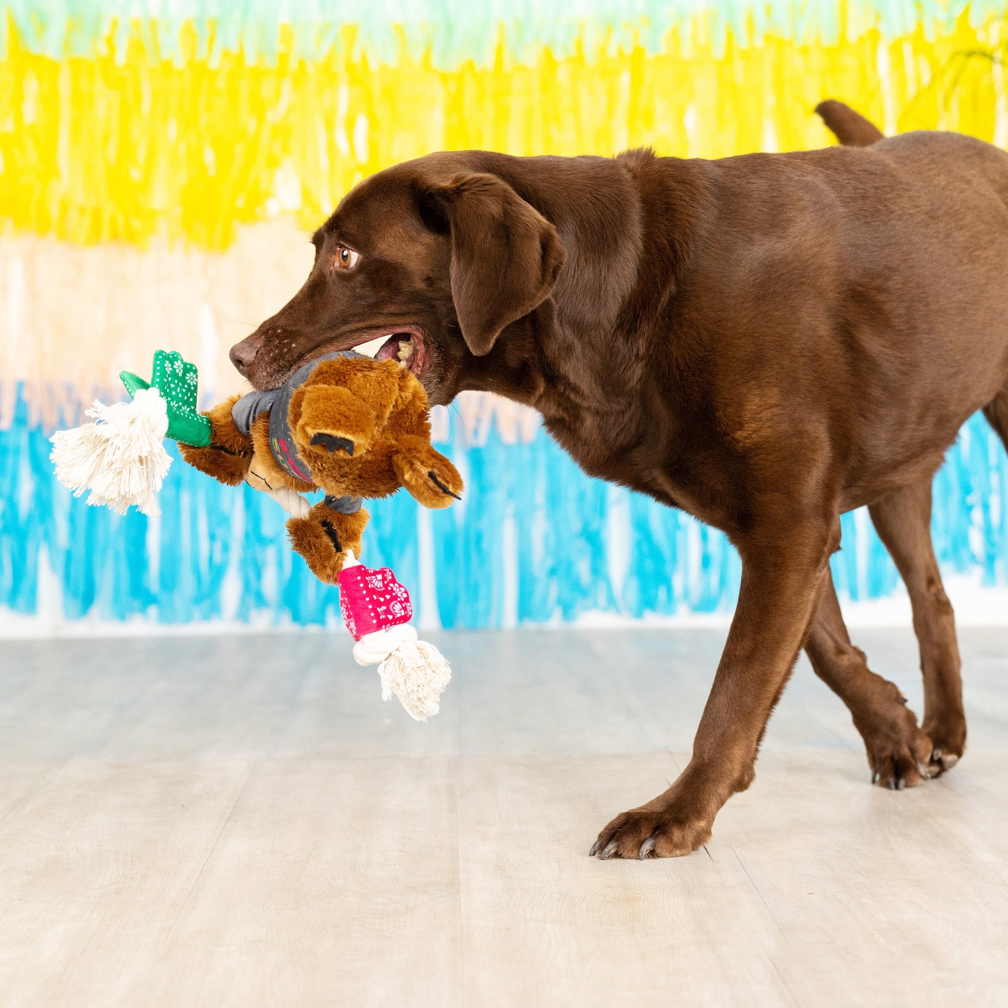 Tacos & Tequila Plush Dog Toy With Rope