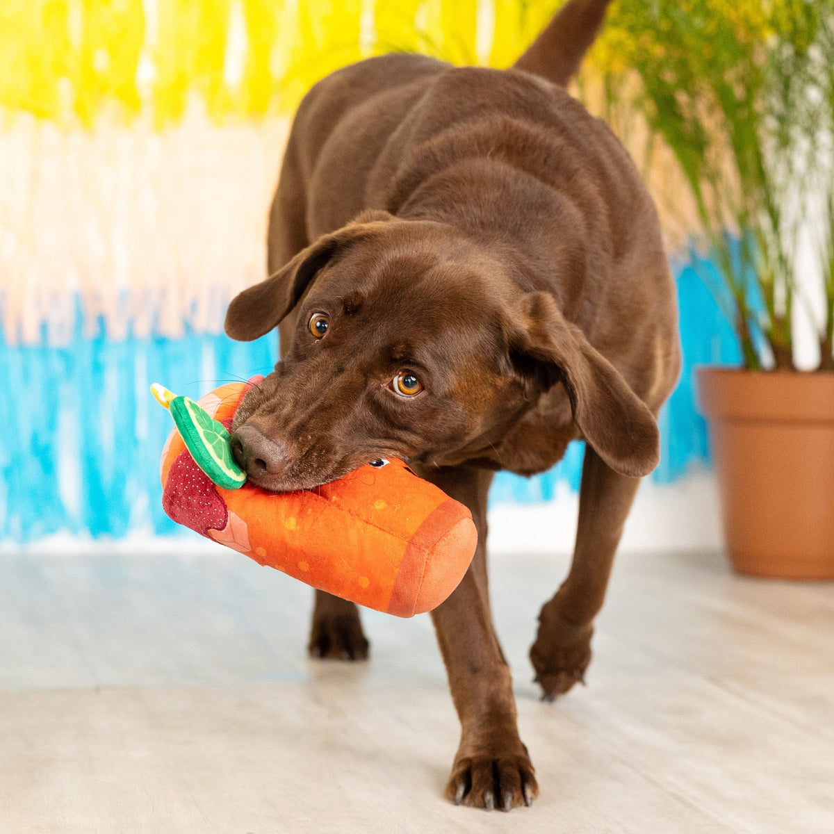 Muttchelada Plush Dog Toy
