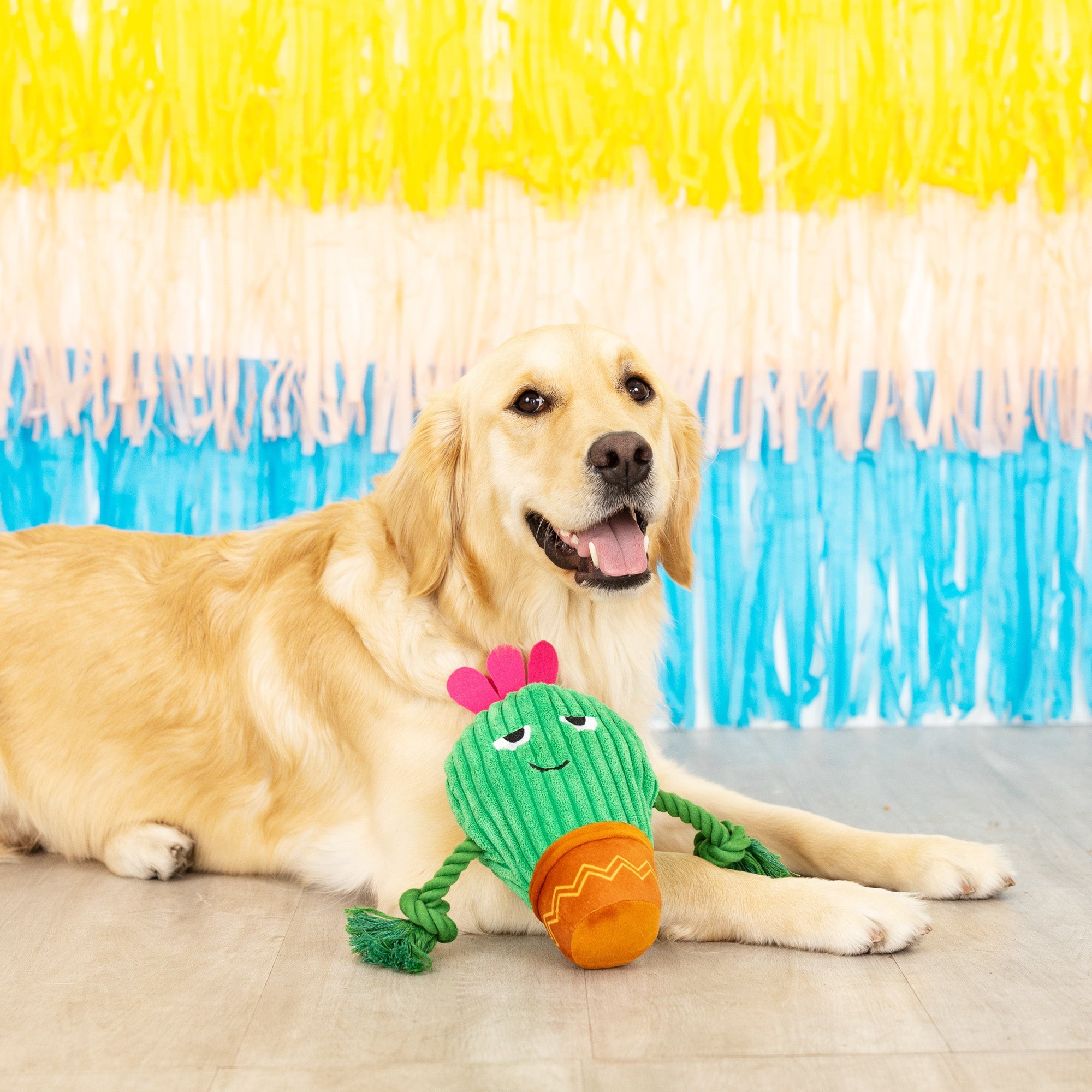 You Grow Chica! Plush Dog Toy With Rope