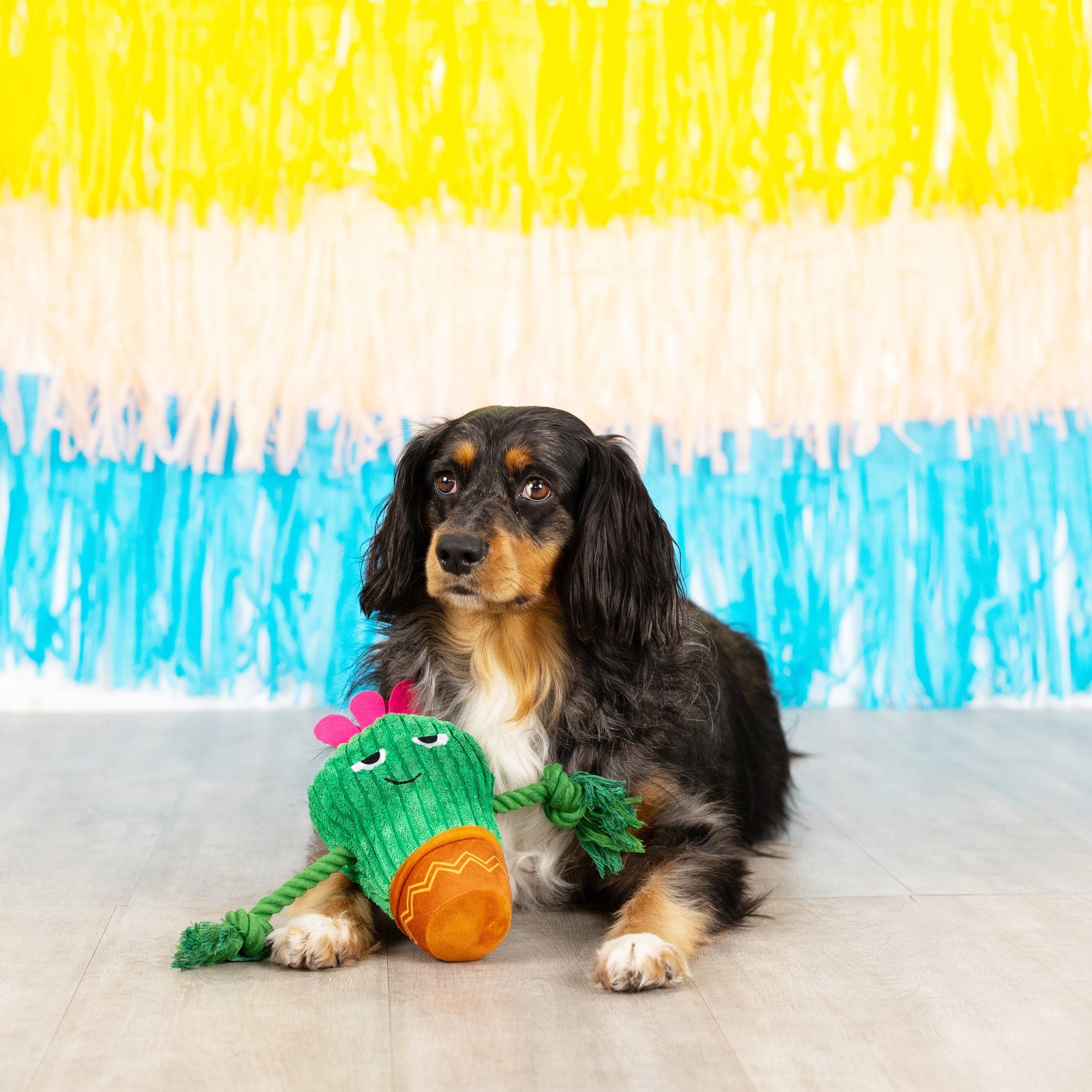 You Grow Chica! Plush Dog Toy With Rope