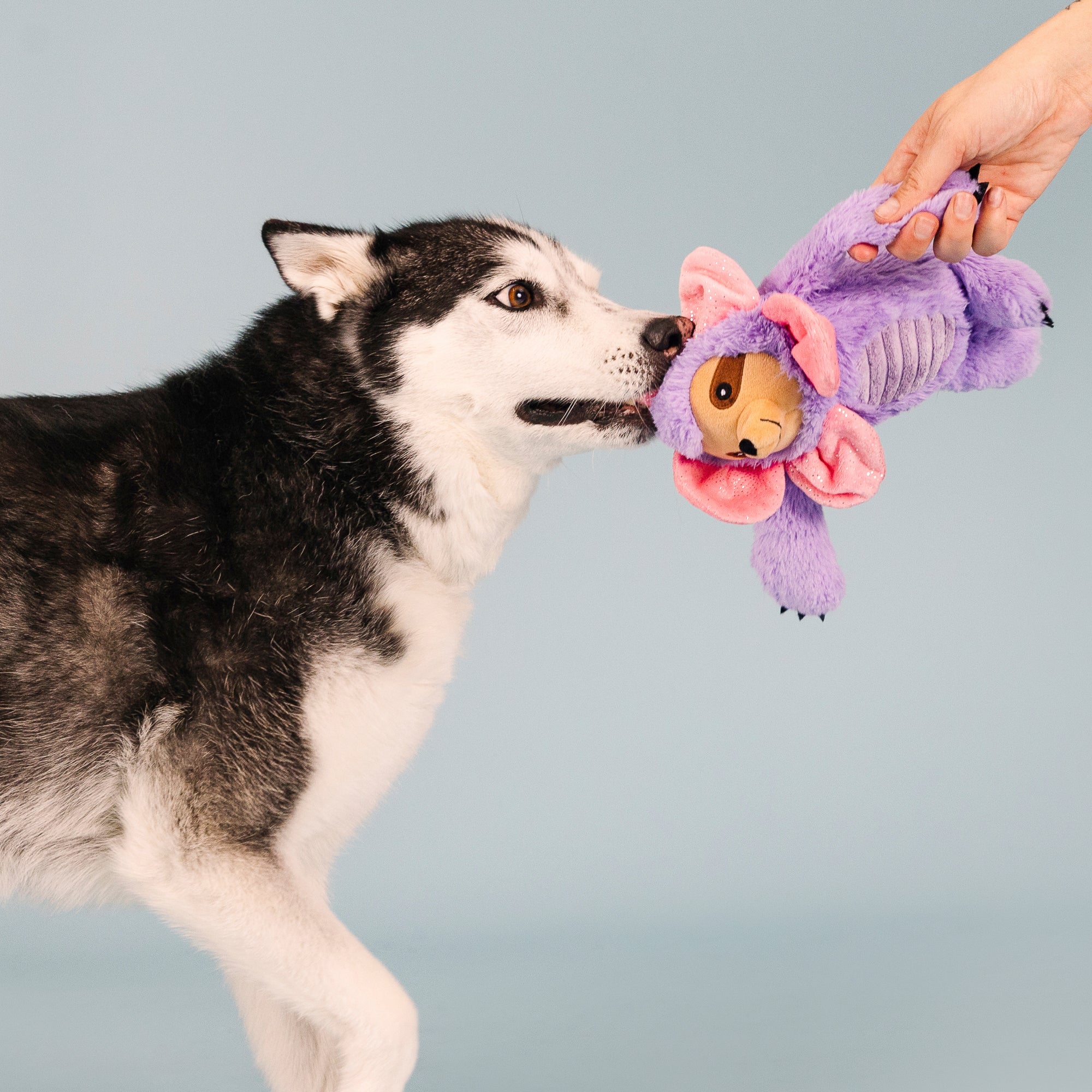 I'll Grow On You Plush Dog Toy