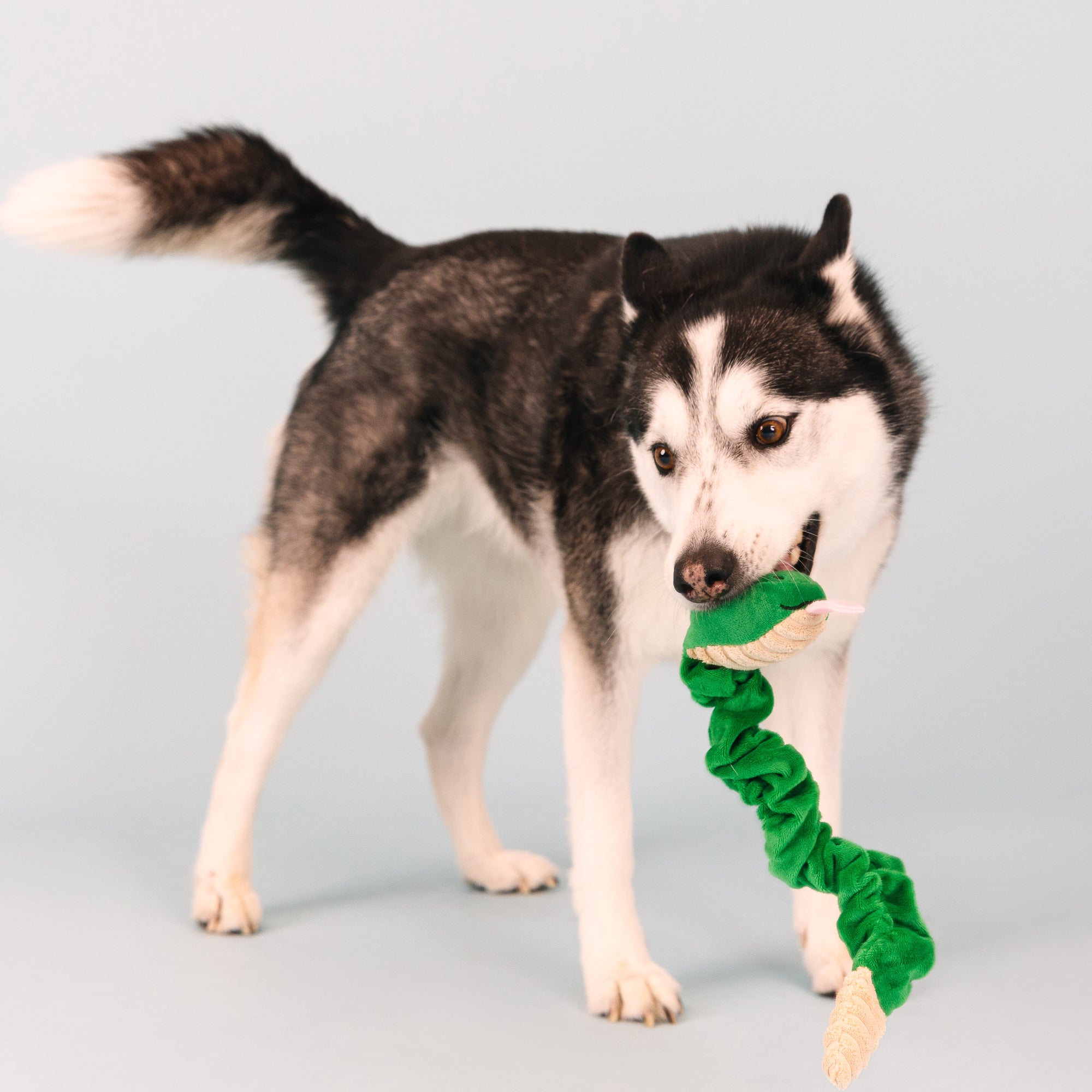 Hisses And Kisses Plush Dog Toy