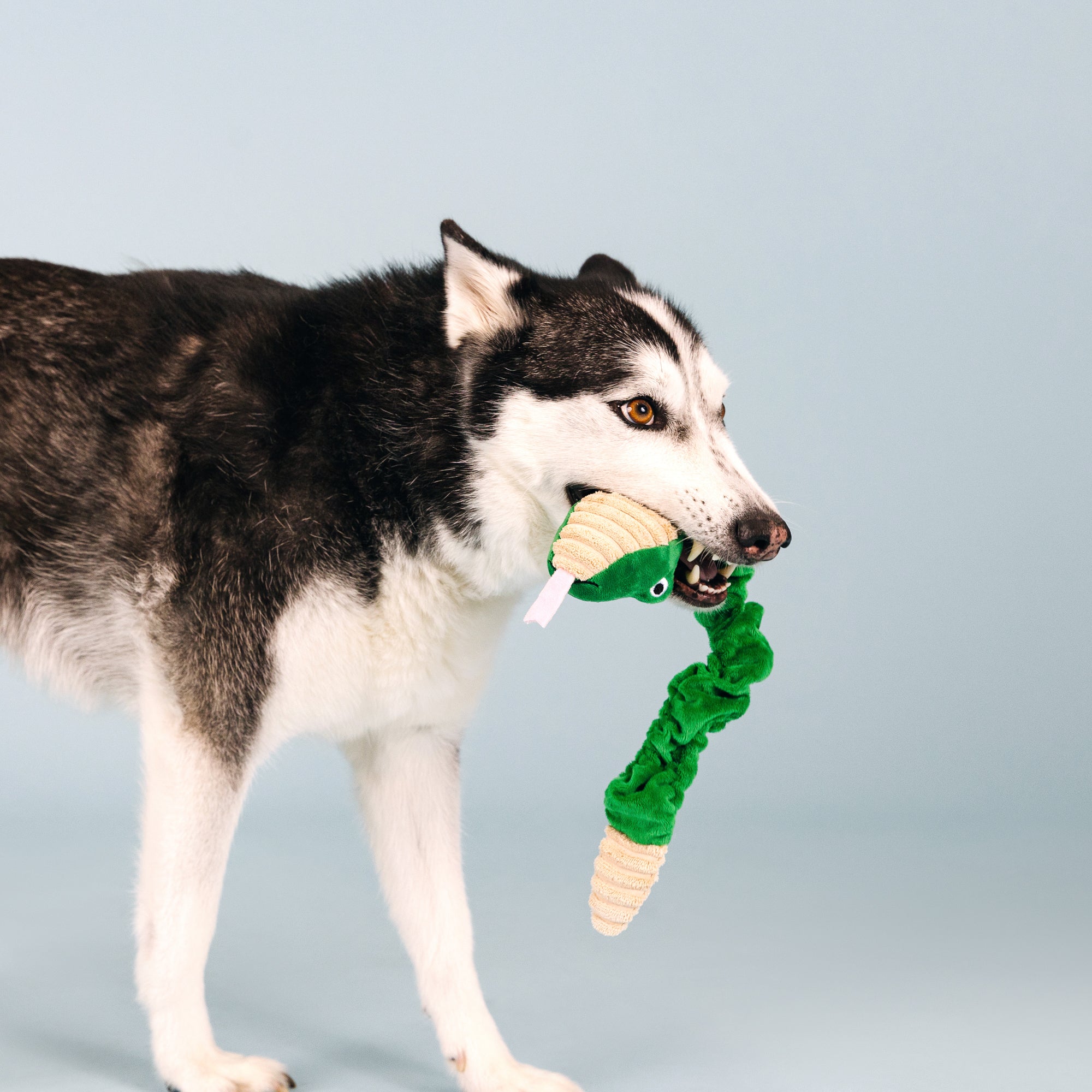 Hisses And Kisses Plush Dog Toy