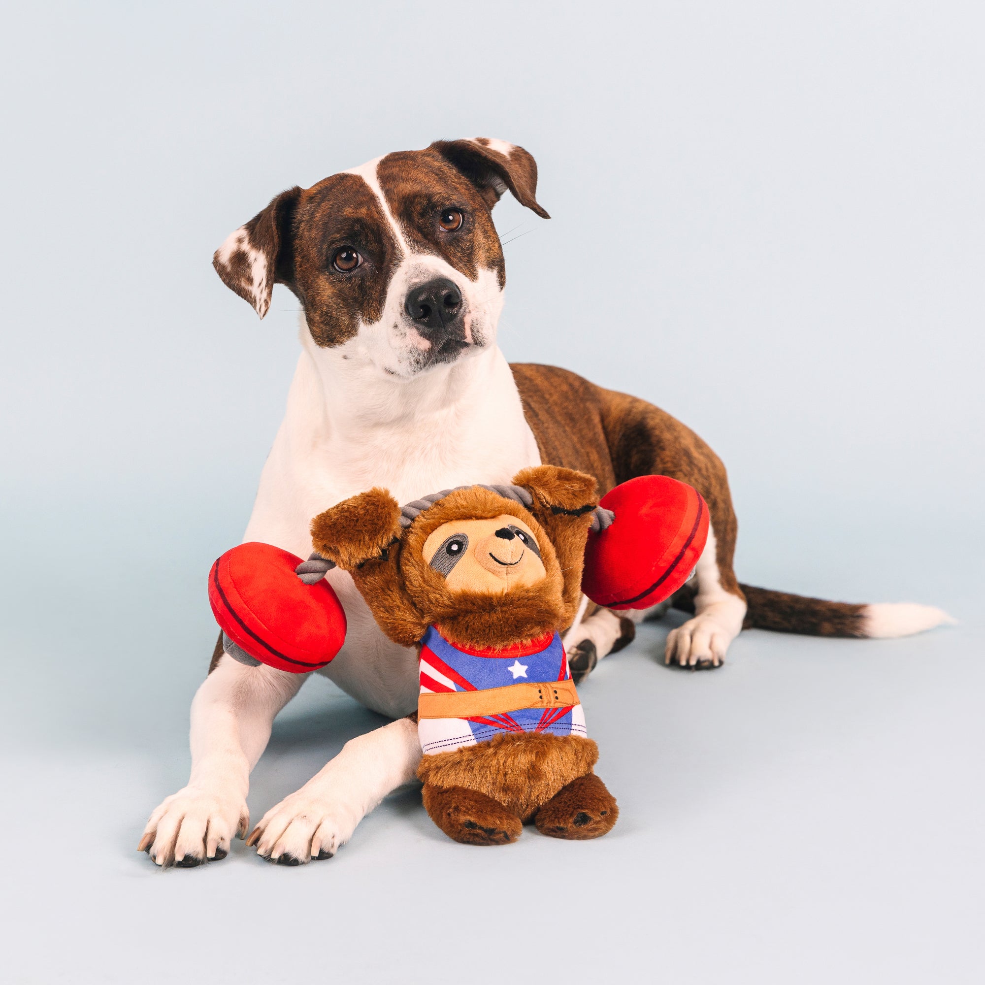 Hustle For That Muscle Plush Dog Toy