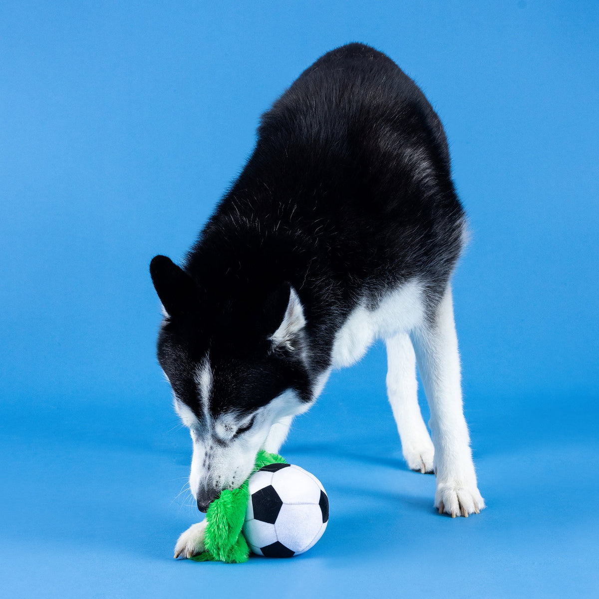 Wagsdale Just Kick It Plush Dog Toy